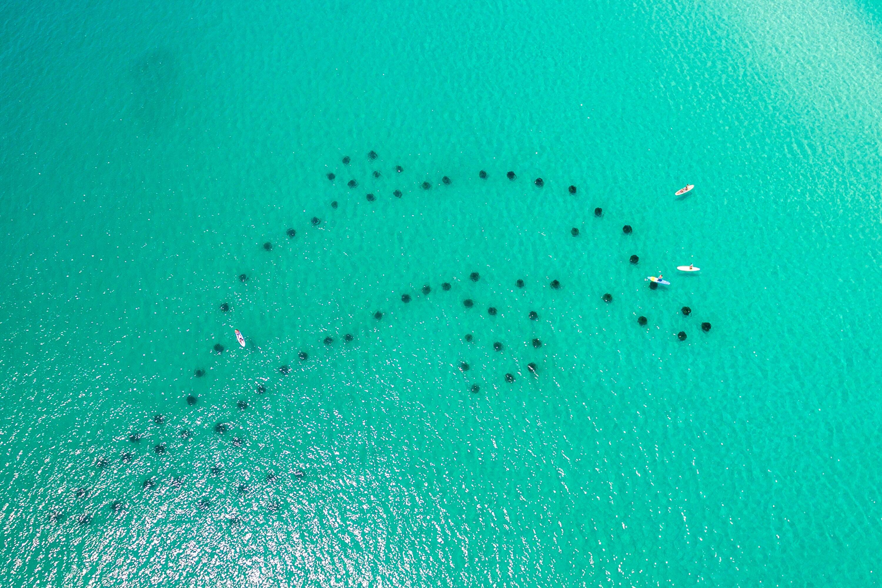 Royal Seaesta Phase II - Residential