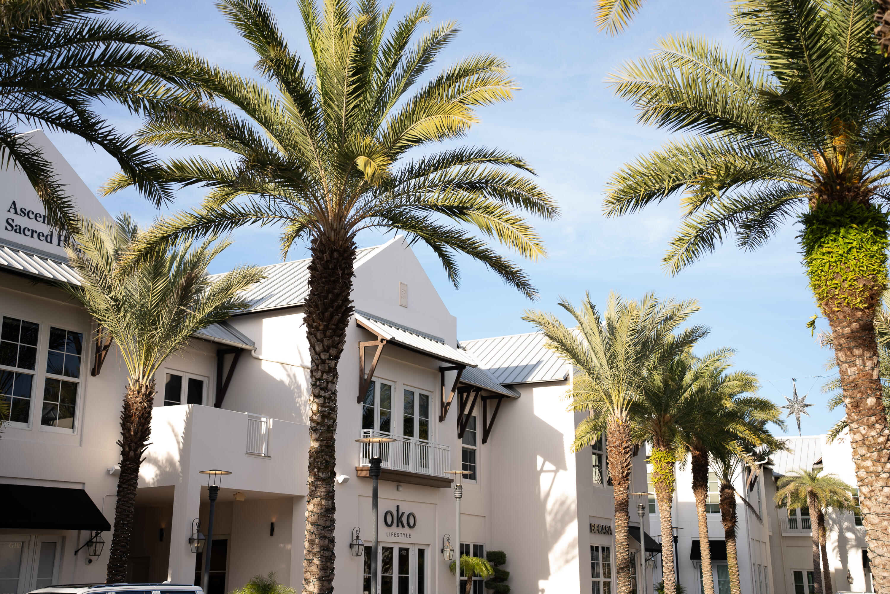 THE PRESERVE AT INLET BEACH - Residential