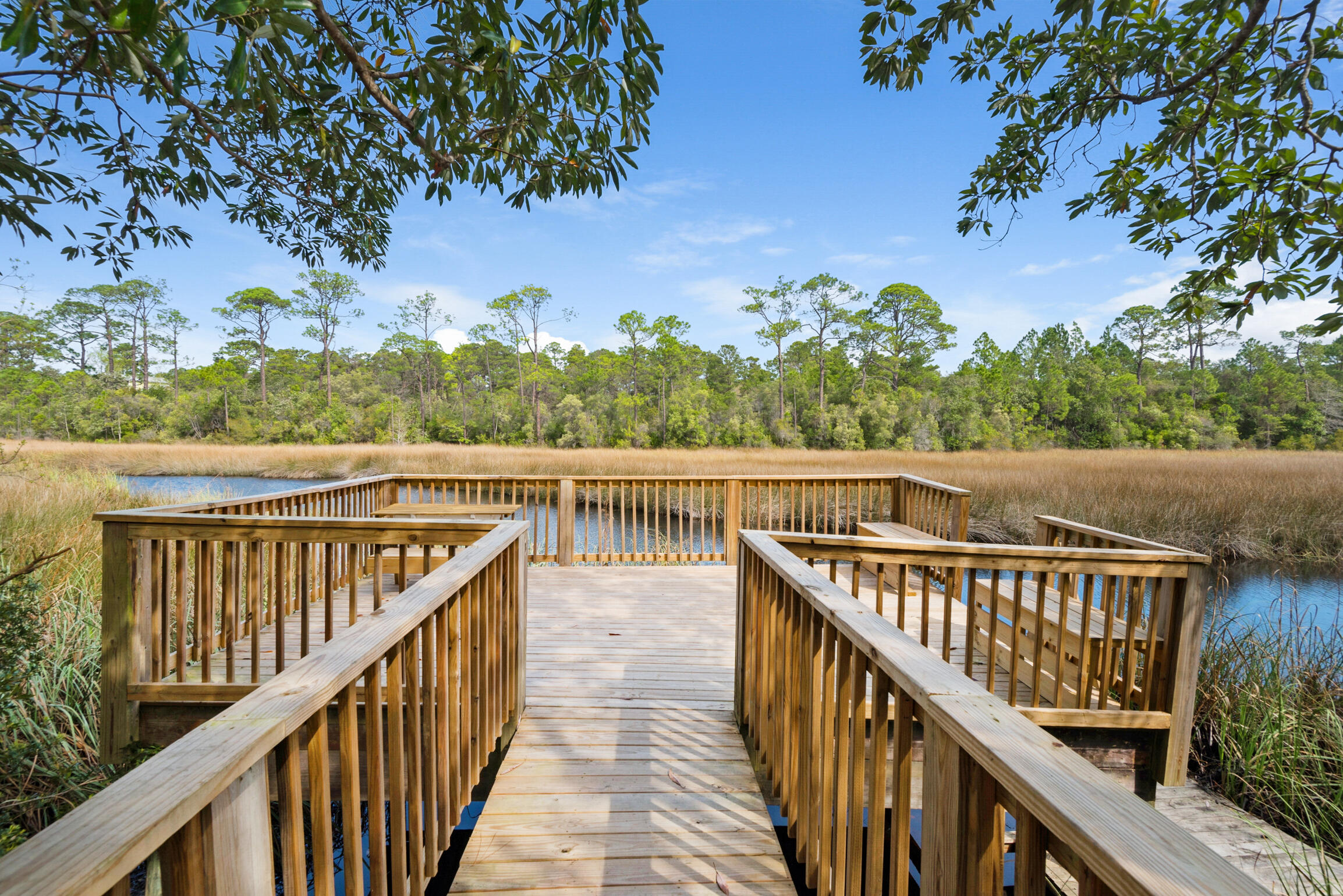 THE PRESERVE AT INLET BEACH - Residential