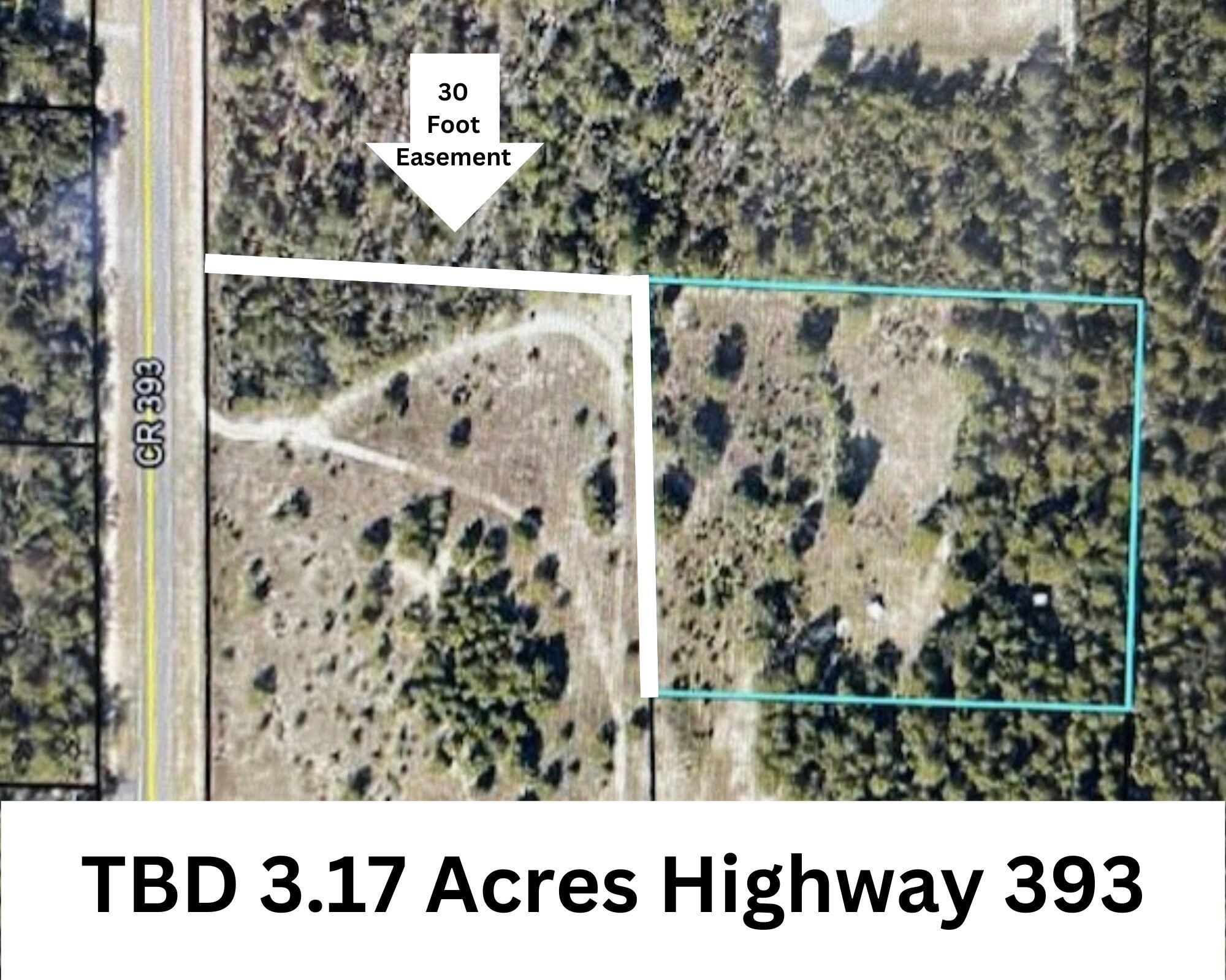 LARGE 3.17 Acre partially cleared level lot with 30 foot easement to the property and along the front side of the property. Bring your building plans and build to suit. Conveniently located off of Highway 393 and near Highway 90. This property is just up the road new Dollar General store and the Shoal River Ranch. Low County taxes...schedule your showing today!