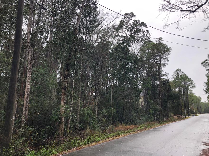 Great Double Lot in Magnolia Beach Subdivision, close to the Bay. Large, 100x150, wooded lot just 0.3 miles to Bay access at the end of Cabbage Rose Lane, and a 10 minute drive to Grayton Beach. Enjoy all that South Walton has to offer from this quiet, centrally located neighborhood. No mobile home are allowed, but also no HOA Dues, and no build-out time deadlines.Jurisdictional wetlands are present on the site. A homesite could be filled with proper permitting from the appropriate regulatory agencies.