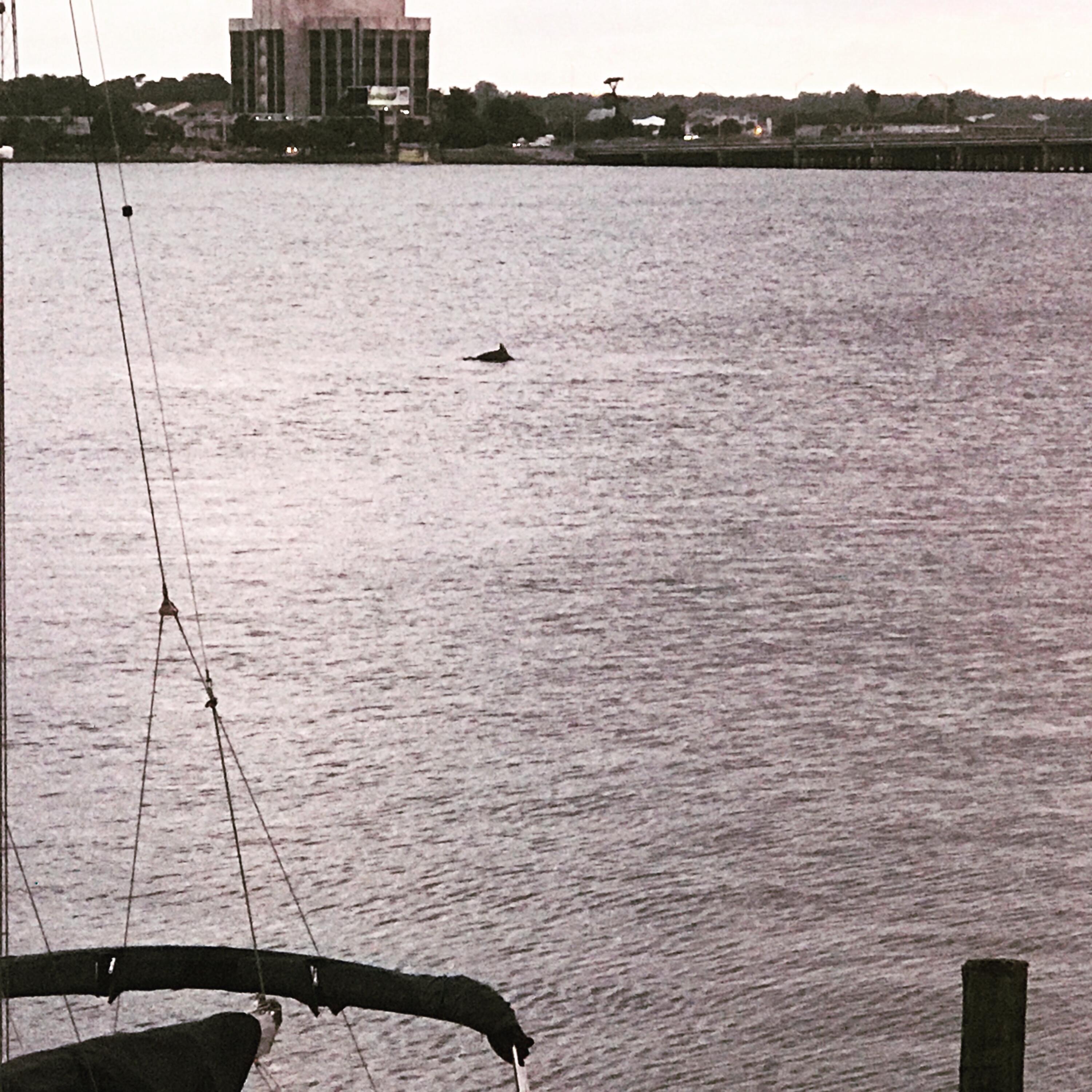 SNUG HARBOR - Residential Lease