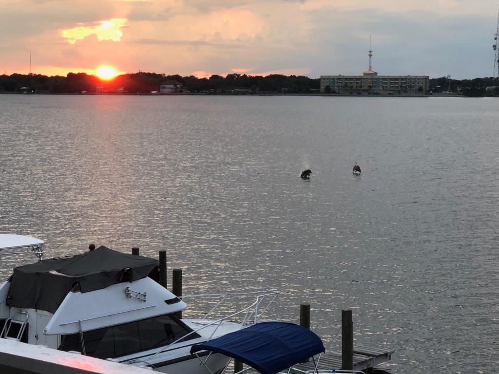 SNUG HARBOR - Residential Lease