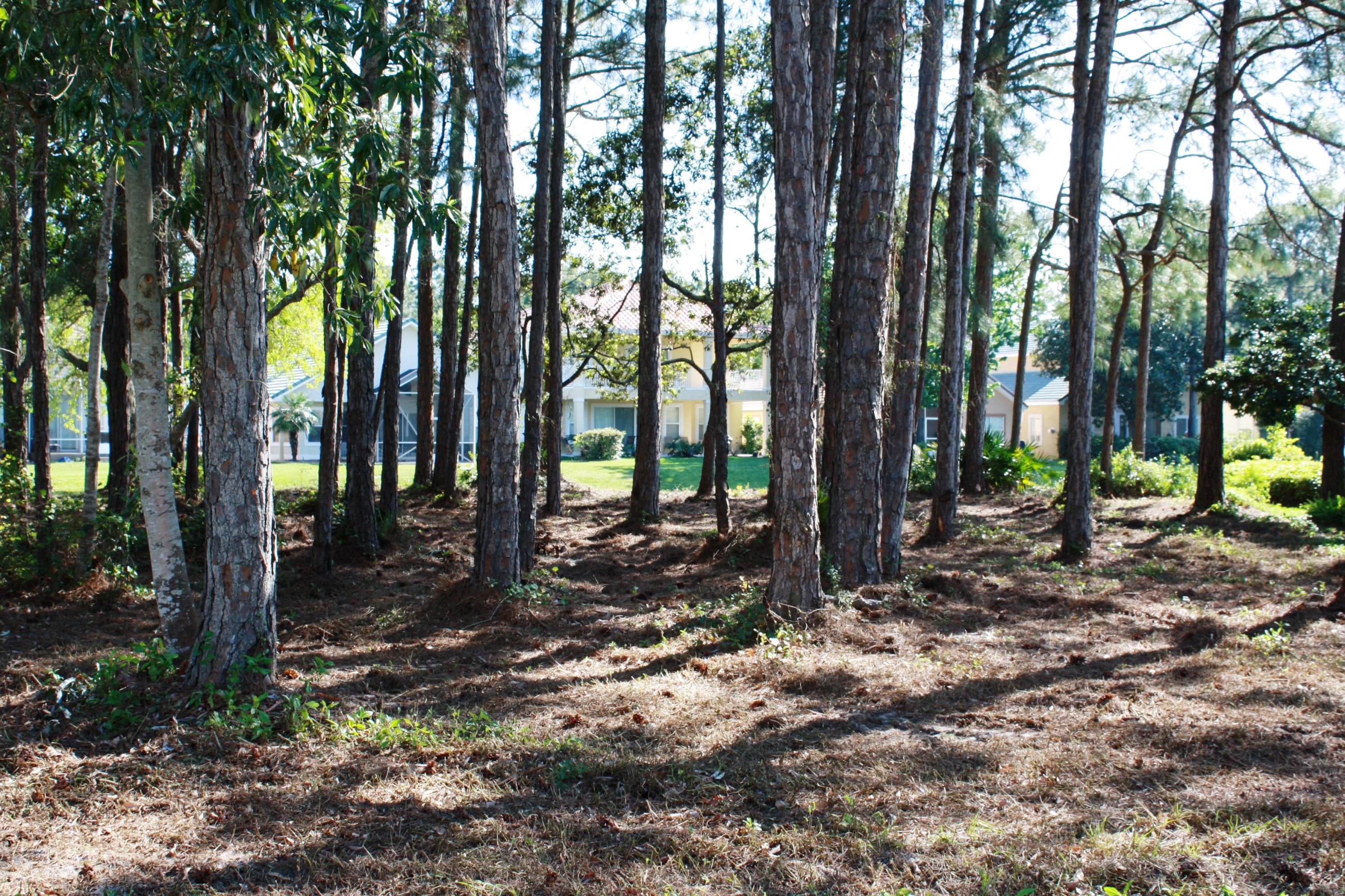 EMERALD BAY PH 1A - Land