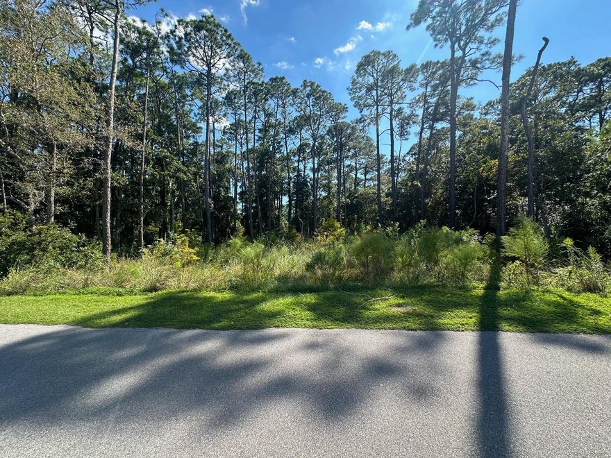 Nestled in a peaceful, wooded area, this vacant lot offers the perfect opportunity to build your dream home! With serene water views and a tranquil setting, it's the ideal location for those seeking privacy and a natural environment. Enjoy the freedom to design and build on your own terms in this picturesque locale. Drive by today to envision the possibilities, or show your clients this unique property!