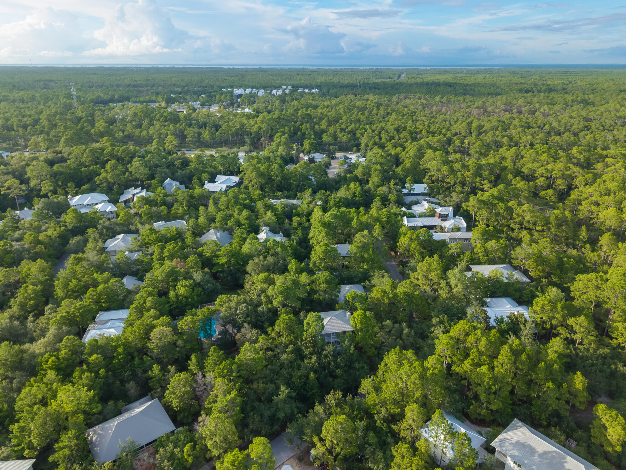 LAKE PLACE AT GRAYTON BEACH T/H - Residential