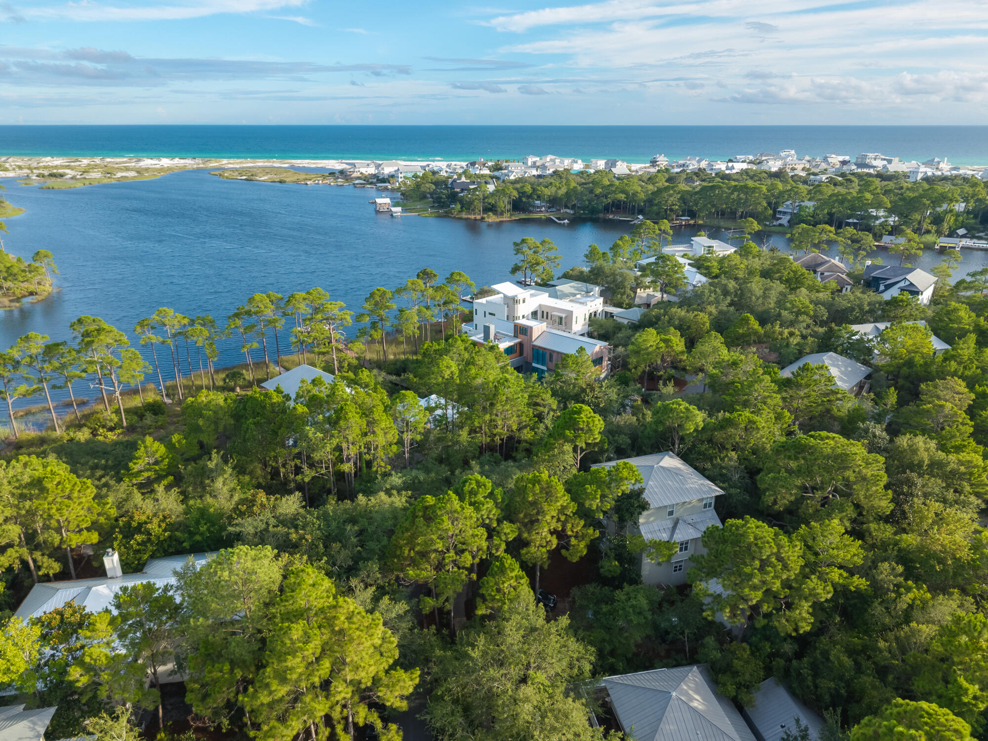 LAKE PLACE AT GRAYTON BEACH T/H - Residential