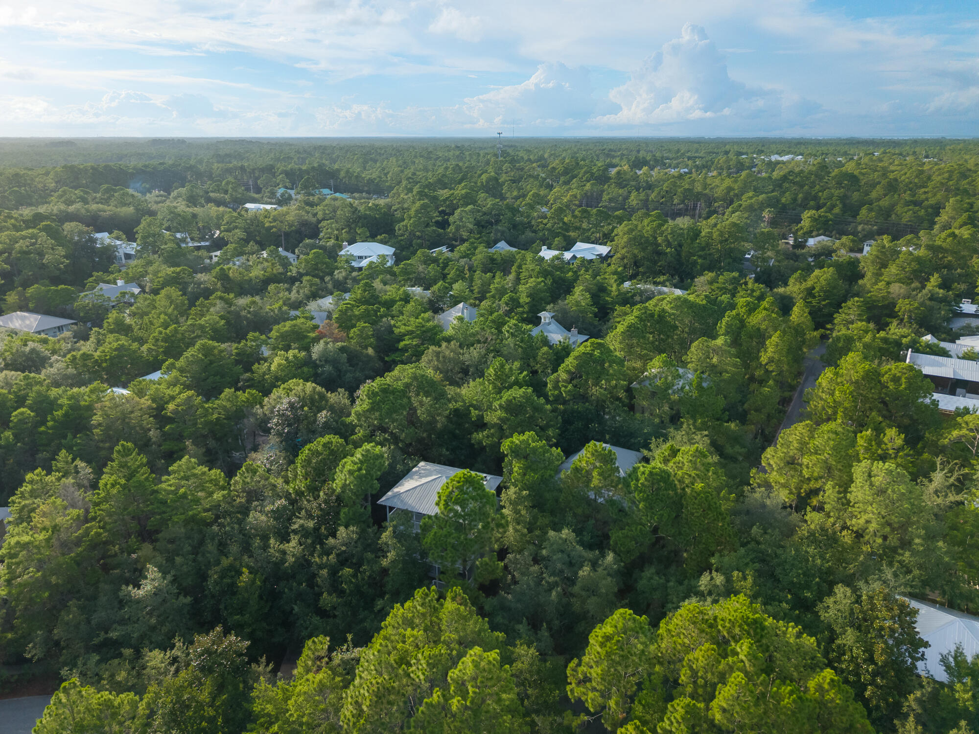 LAKE PLACE AT GRAYTON BEACH T/H - Residential