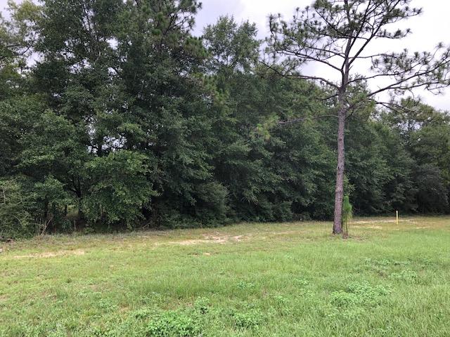 Looking for some land to call home. It;s the RIGHT time to invest and then Build your NEXT HOME on 2.26 acres. You will enjoy heading out to explore and enjoy the beautiful Blackwater State Park, Go Canoeing, Fishing and quiet living. This Land offers plenty of space so bring your BOAT, RV, ATV. Conveniently located to Interstate 10, Hwy 87 and Crestview,. Survey has been done and Power Pole installed.