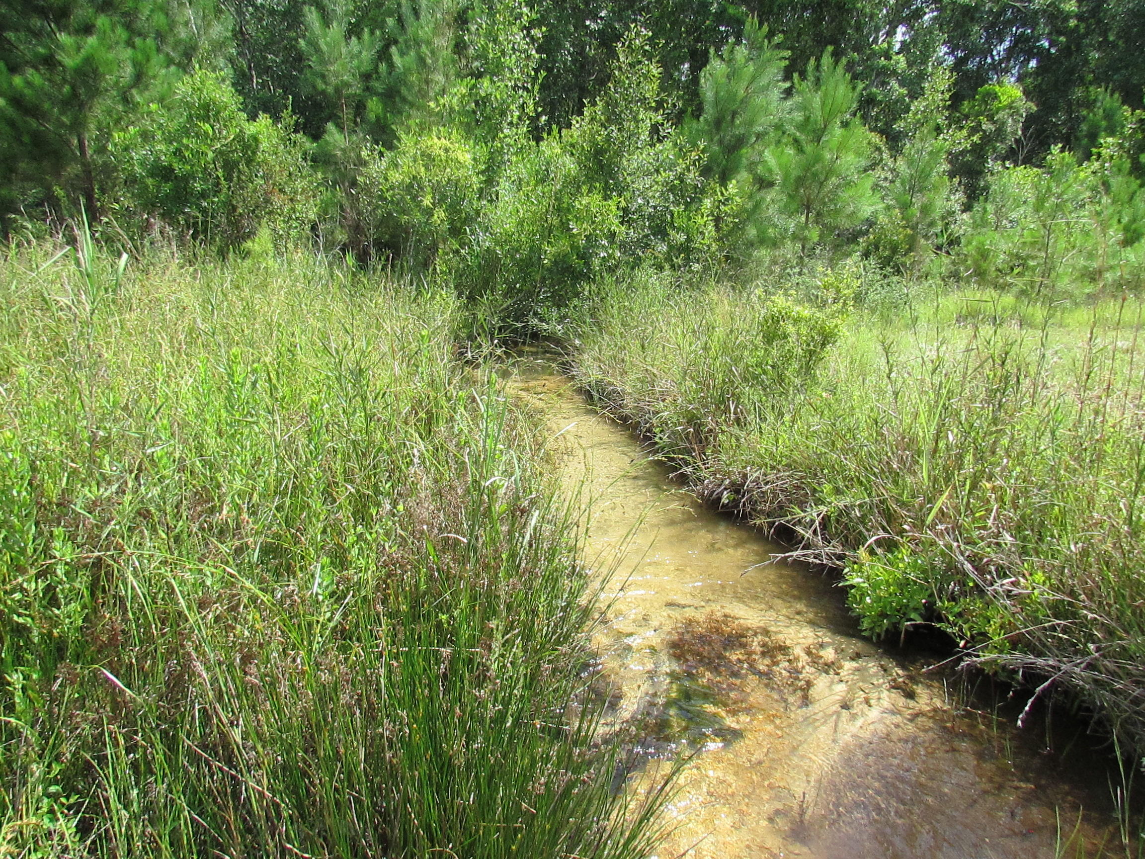 New survey provided with purchase. Stunning 40 acre partially wooded parcel with Wolf Creek running through it. Parcel strategically located approximately 8 miles to the Interstate (I-10), 7.5 miles to MossyHead Elementary School, and only 45 minutes to Eglin Air Force Base, Destin-Fort Walton Beach Airport (VPS), and the white sandy beaches of the Emerald Coast. Property zoned General Agriculture. Underground power available.