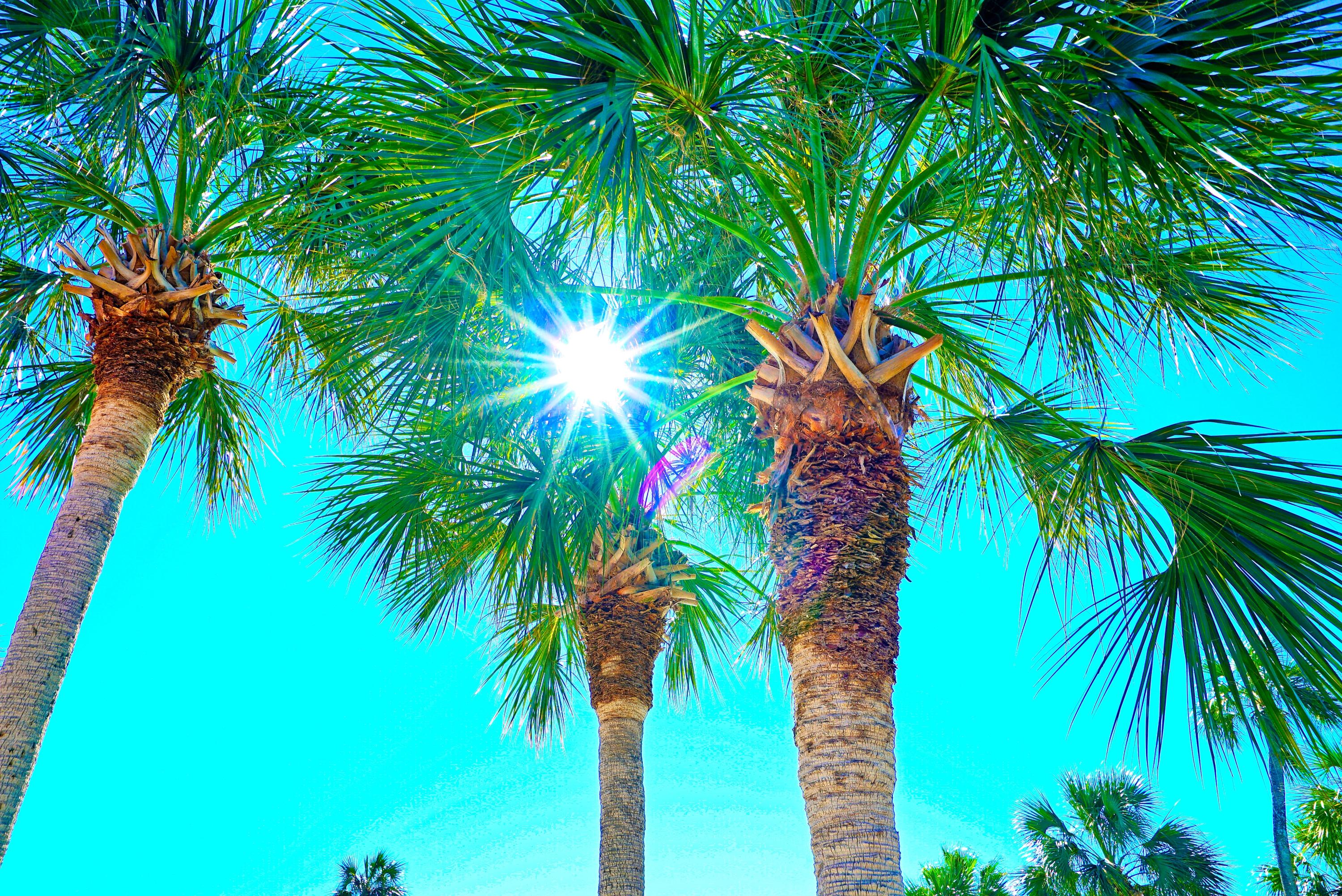 DESTINY S/D - Residential