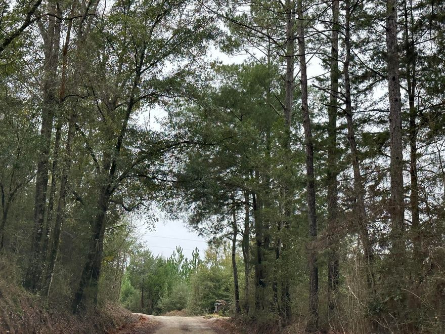 Spacious acreage located on Southern Winds Lane in Caryville, offering a versatile opportunity for buyers seeking land in Washington County. With plenty of room to design a home, recreational getaway, or long-term investment, this property combines privacy with access to nearby main routes. The setting features natural surroundings and open possibilities for future use.Whether you're looking to bring building plans, recreational equipment, or simply secure land for future value, this parcel provides a strong foundation for multiple goals. Convenient proximity to Highway 279 and I-10 ensures regional access while maintaining a rural atmosphere.This is a rare opportunity to acquire property with flexible potential in a rapidly growing area.