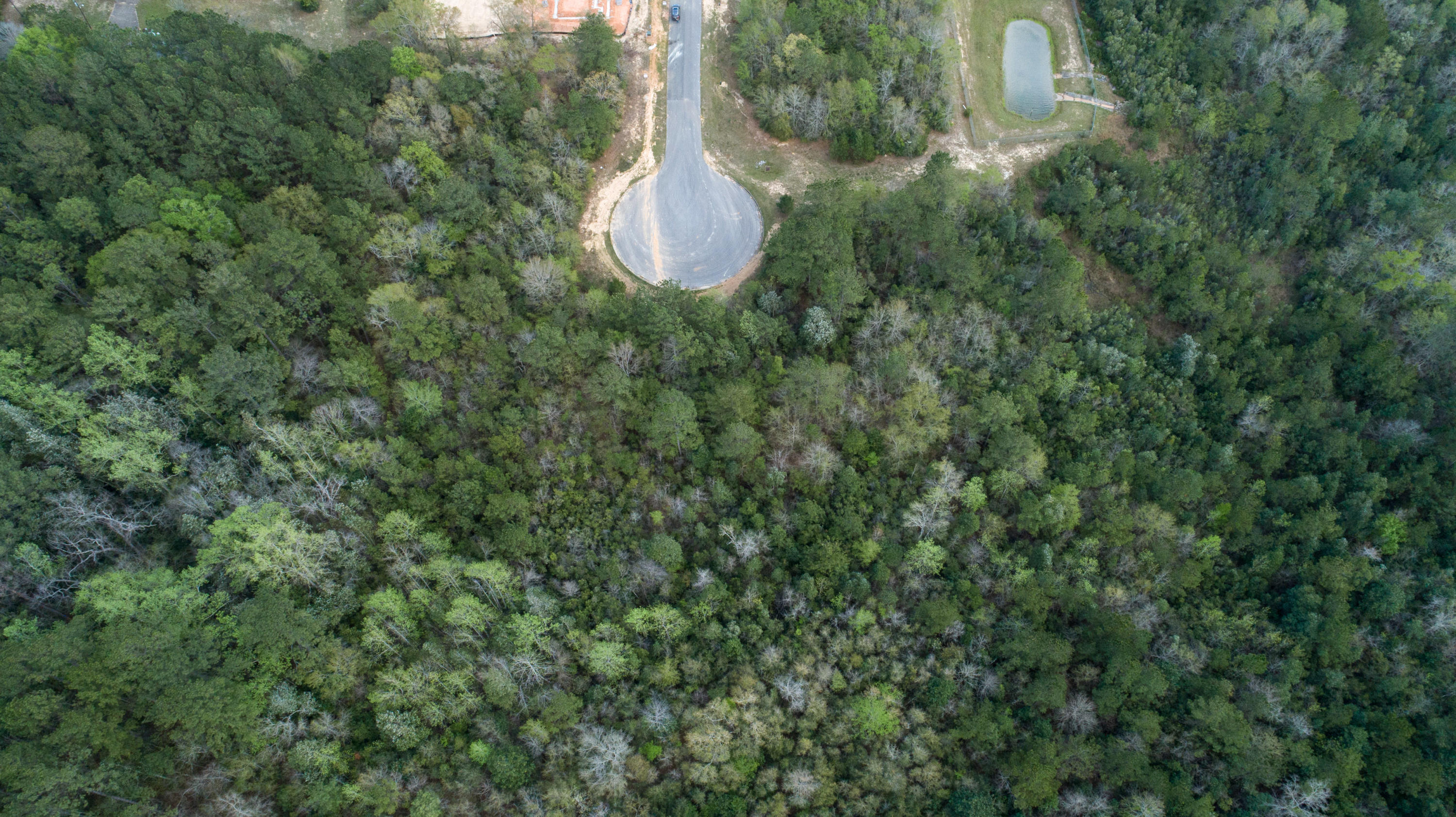 WILLOW CREEK PLANTATION - Land