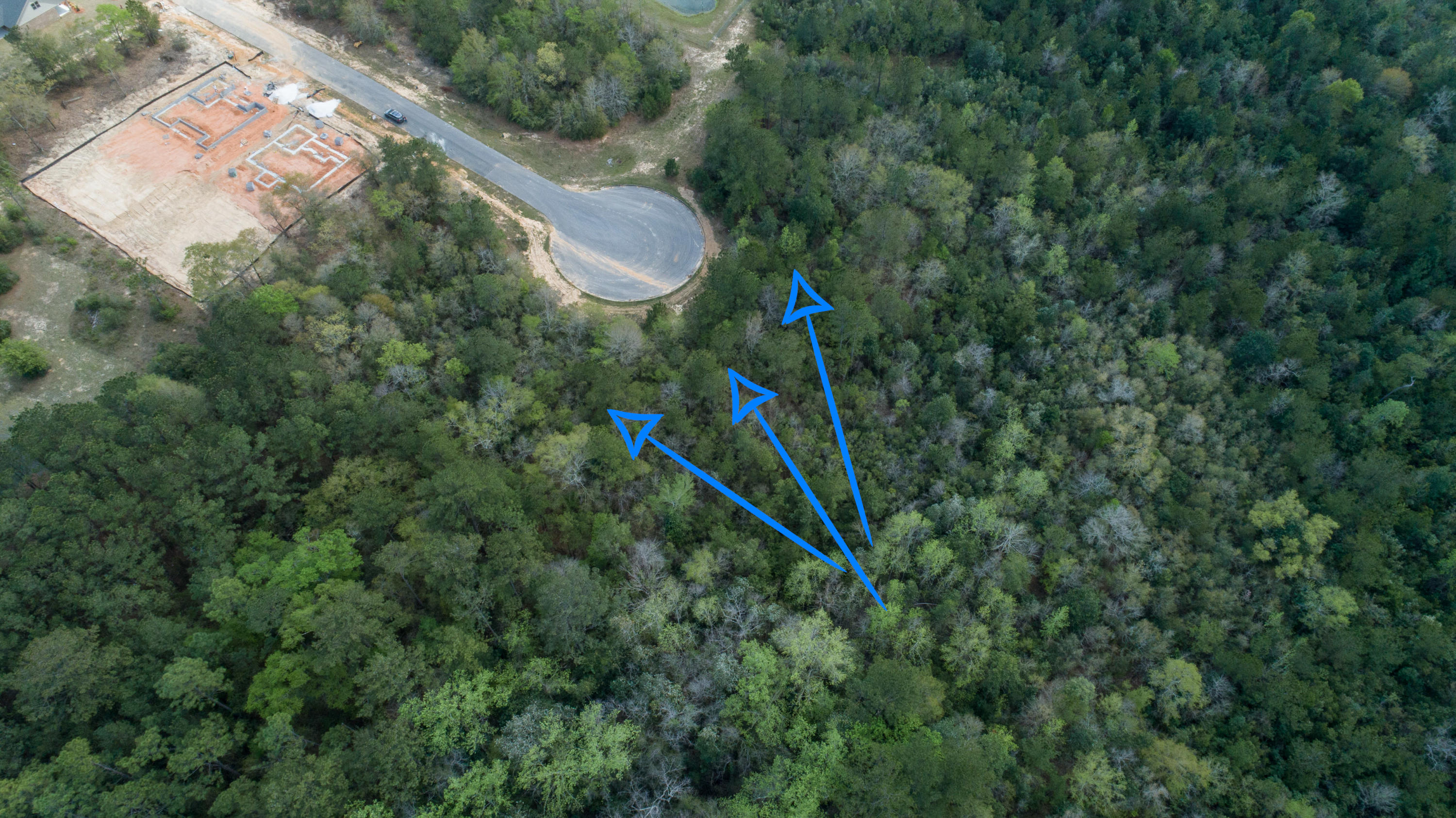 WILLOW CREEK PLANTATION - Land