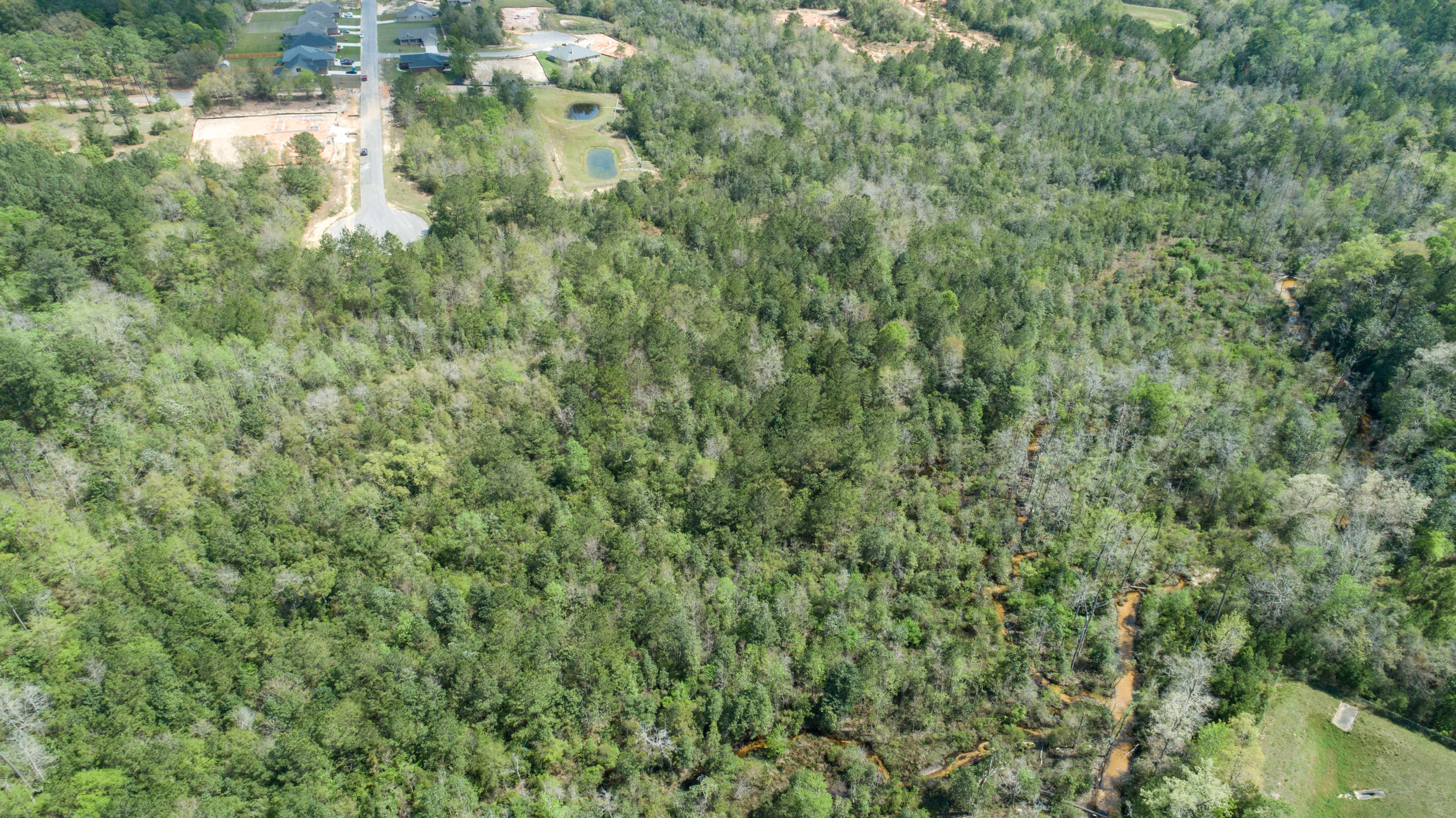 WILLOW CREEK PLANTATION - Land