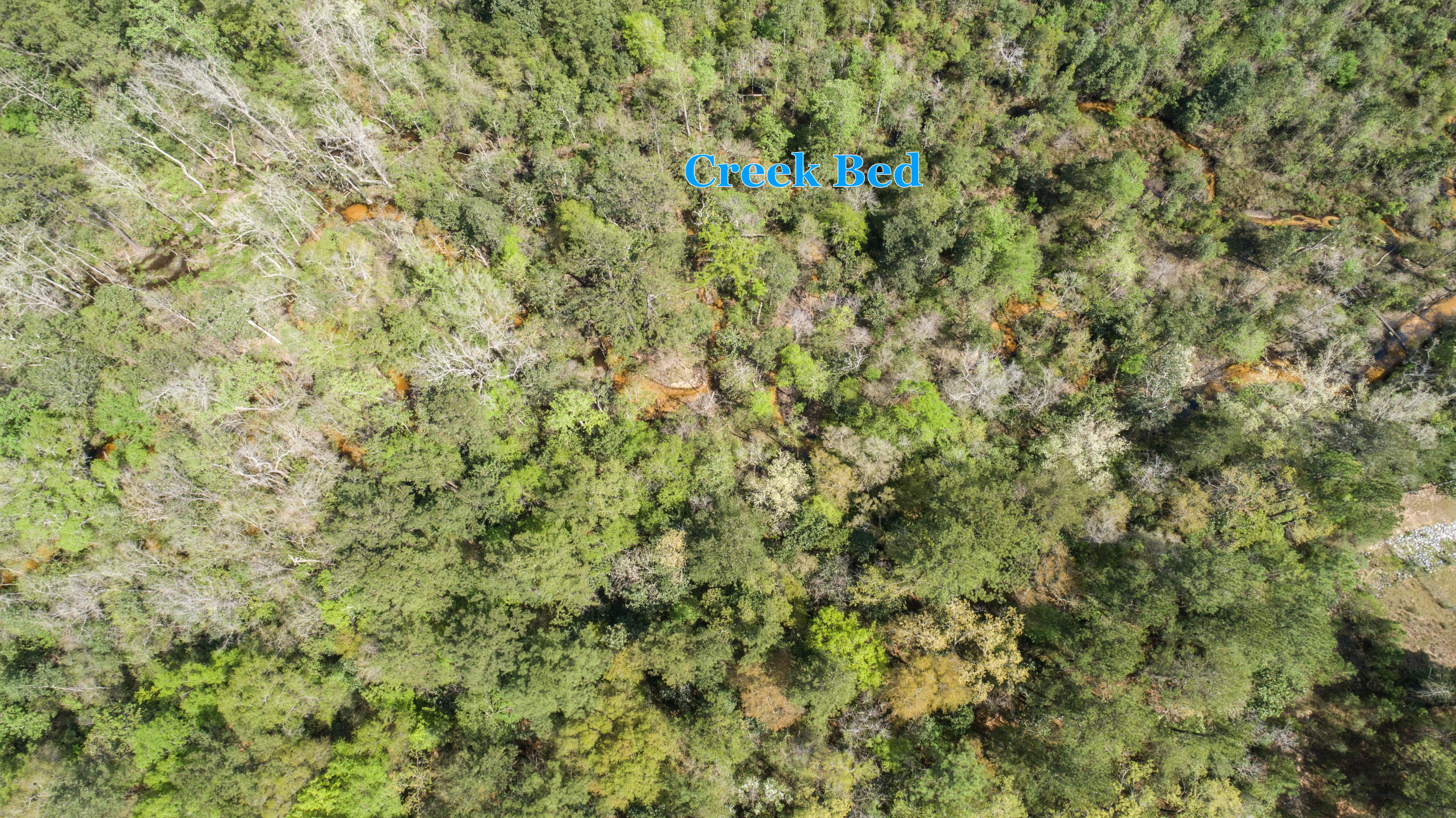 WILLOW CREEK PLANTATION - Land