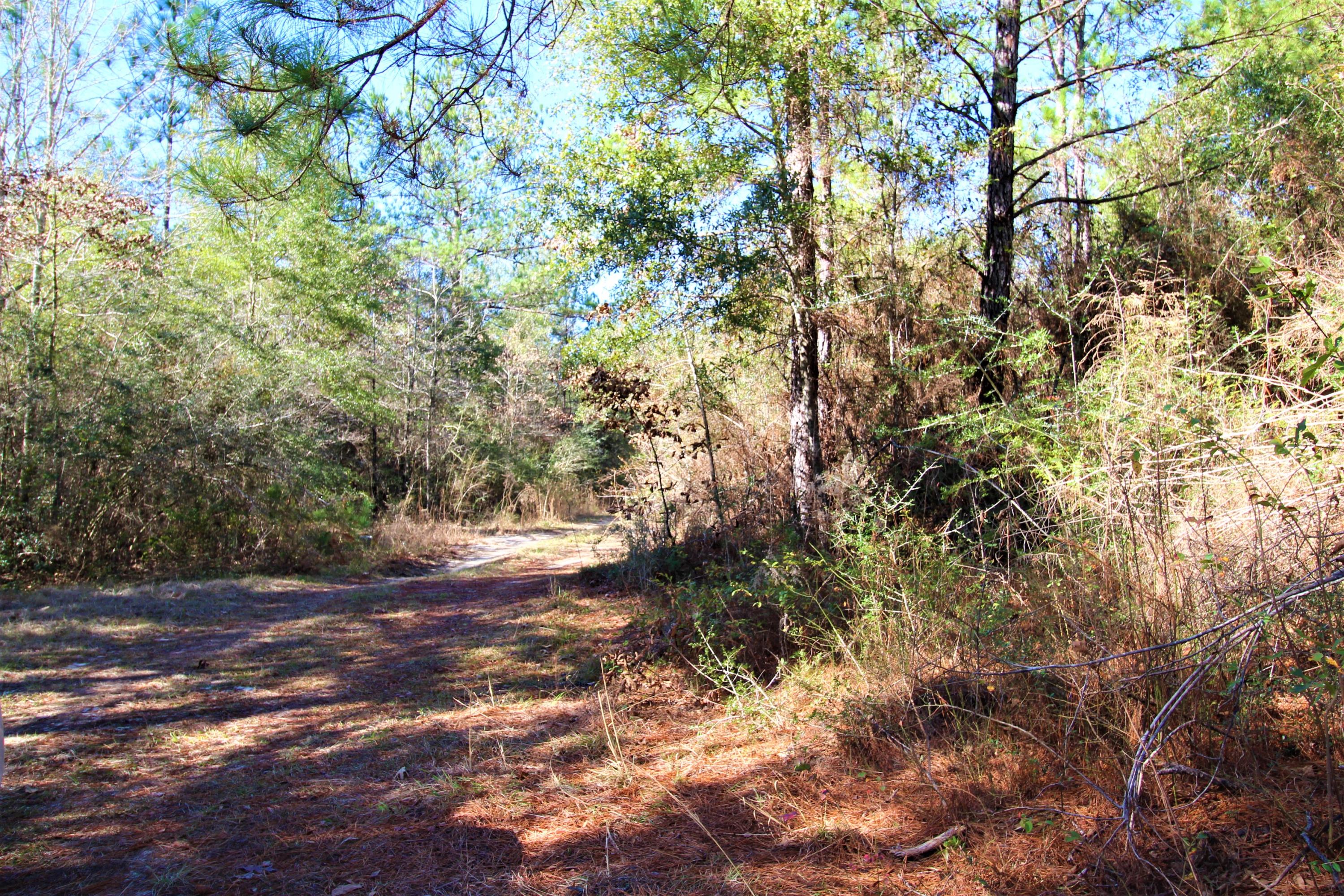 NONESUCH WAY - Residential