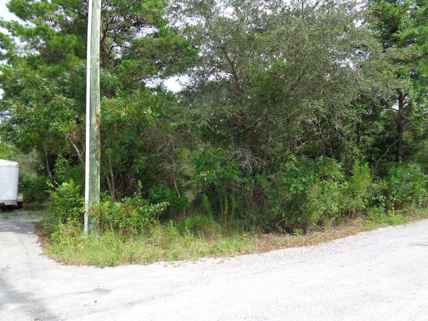 Wooded lot (80 x 100) in Seagrove, within 1/2 mile of beaches! No HOA, no build-out requirement. ***Buyer is responsible for personally verifying details about this property. Any information contained in this listing is believed to be accurate but is not guaranteed.***