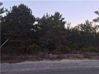 THE PRESERVE AT GRAYTON BEACH - Land