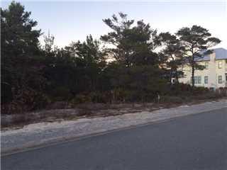 THE PRESERVE AT GRAYTON BEACH - Land
