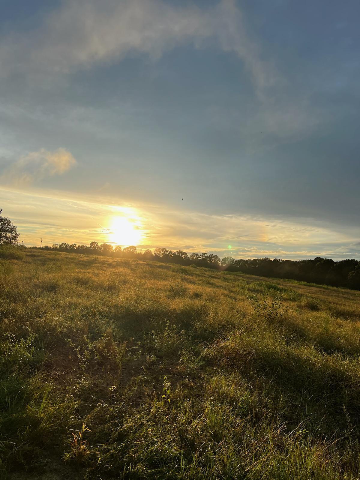 Absolutely beautiful rolling land with roughly 16 acres cleared in pasture and 21 acres wooded with a lovely little creek. Would make a spectacular homesite or farm. Sunsets are special out here and you'll have no trouble seeing millions of stars at night. MLS #908158 is an improved 7+/- acre parcel right around the corner with electric, well and septic. It is also available either together or separate from this 37 acres.