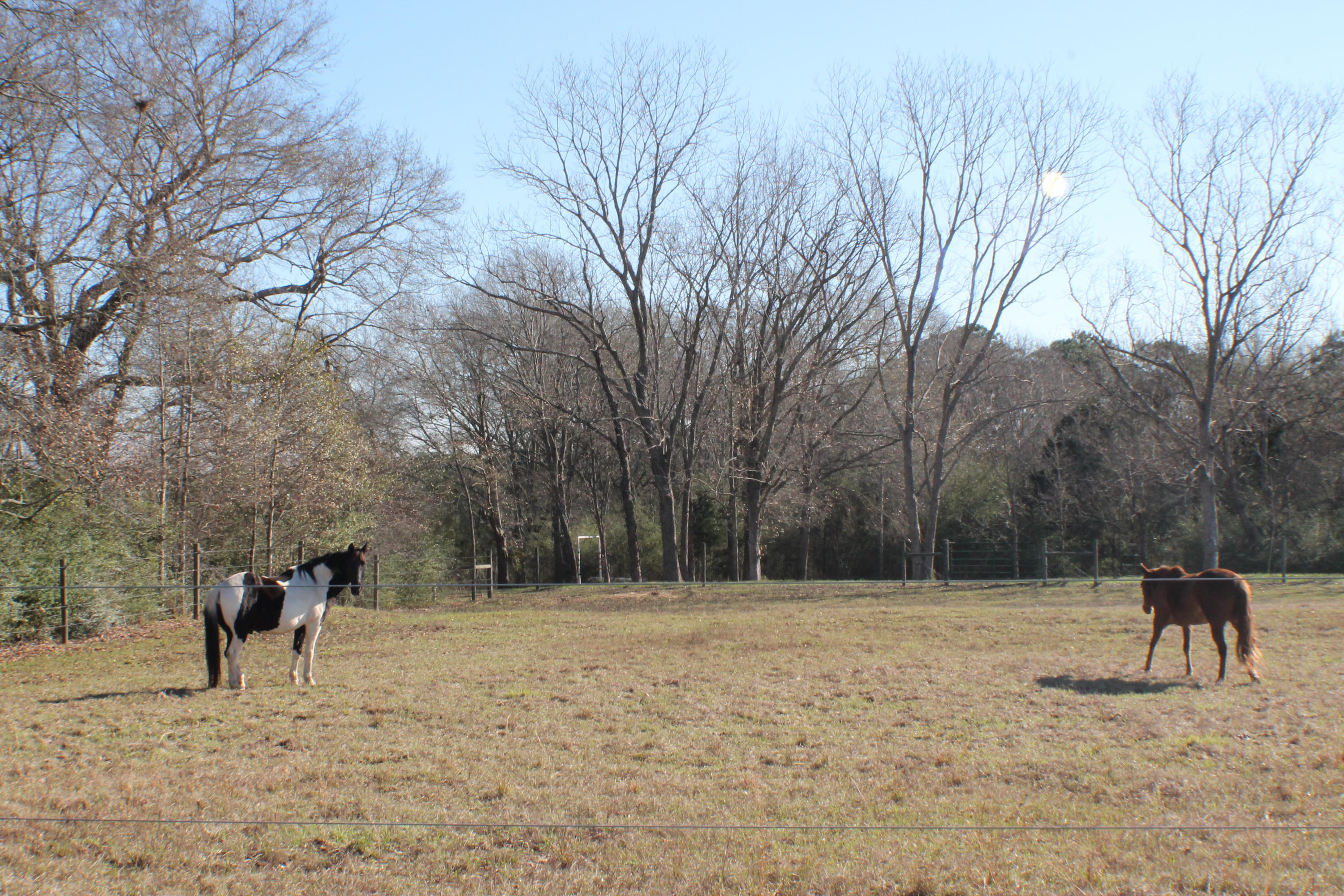 METES & BOUNDS - Farm