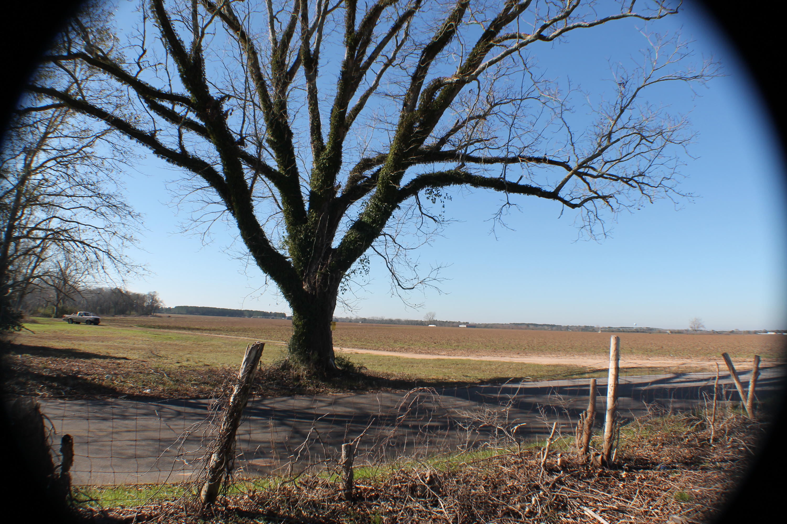 METES & BOUNDS - Farm