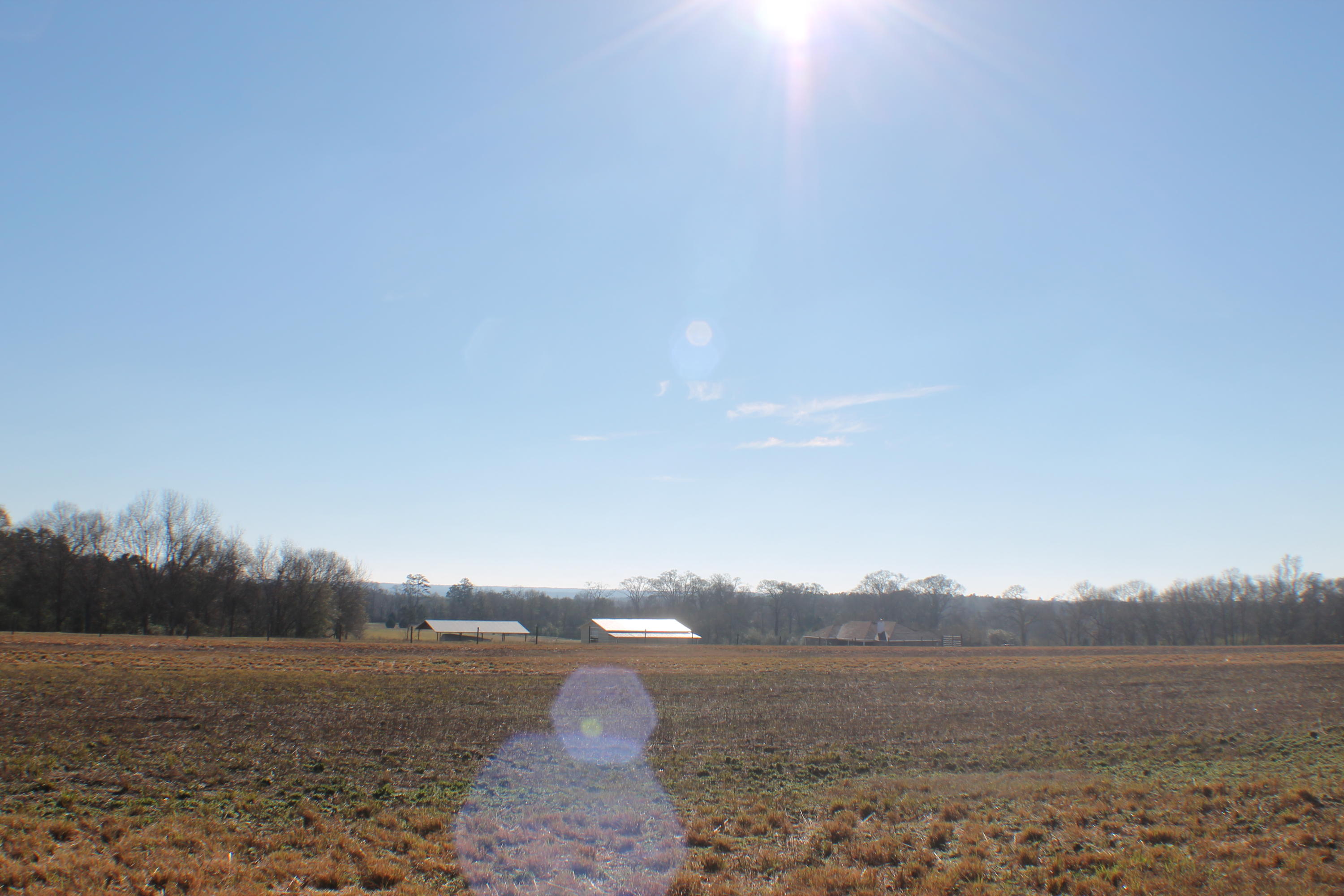 METES & BOUNDS - Farm