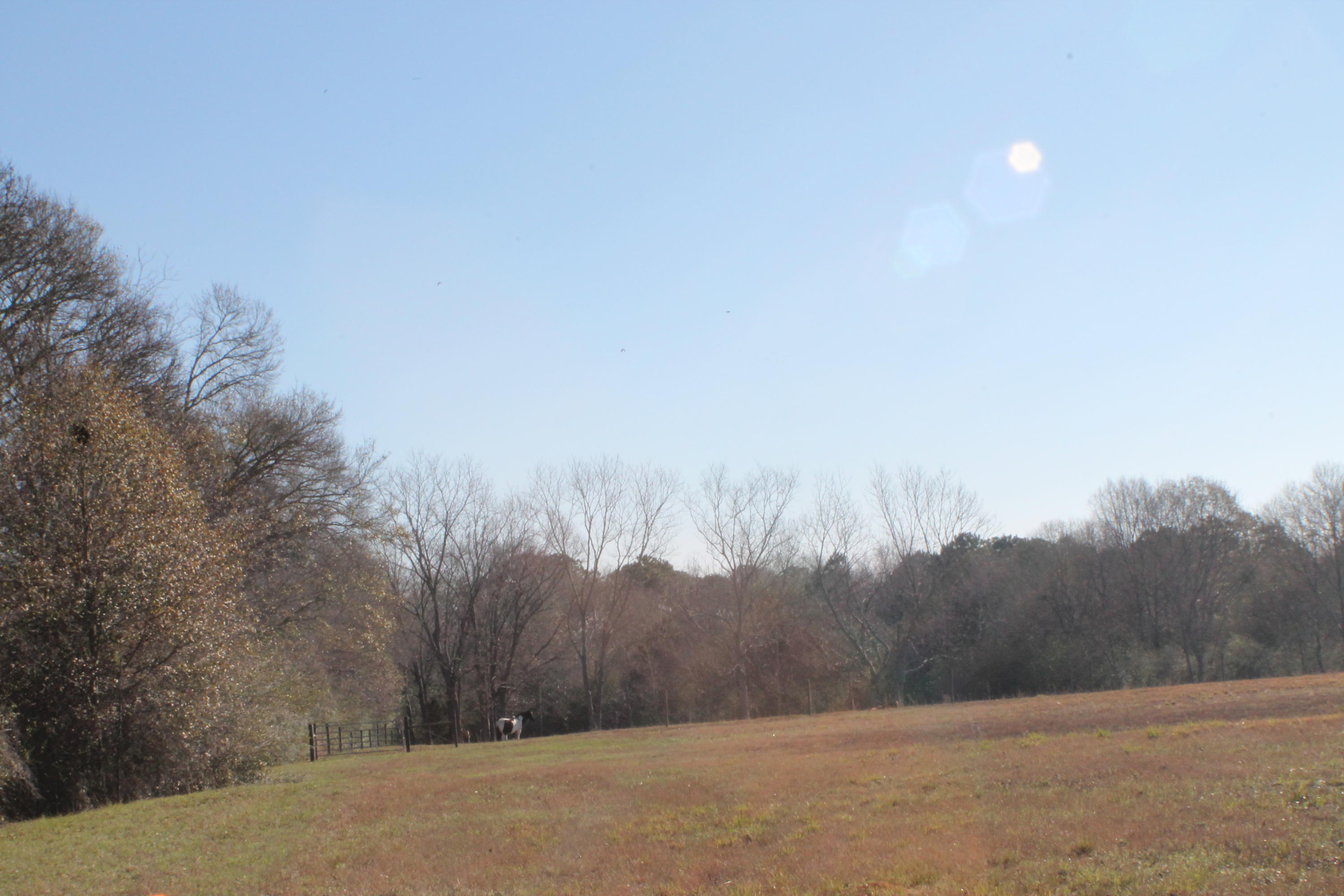 METES & BOUNDS - Farm