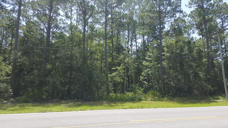 EXCELLENT WOODED LOT ON BAY LOOP. CLOSE TO HAMMOCK BAY RECREATIONAL OPPORTUNITIES AND BOATING ACCESS AT MARINA VILLAGE. VERIFY ALL INFORMATION DEEMED IMPORTANT.