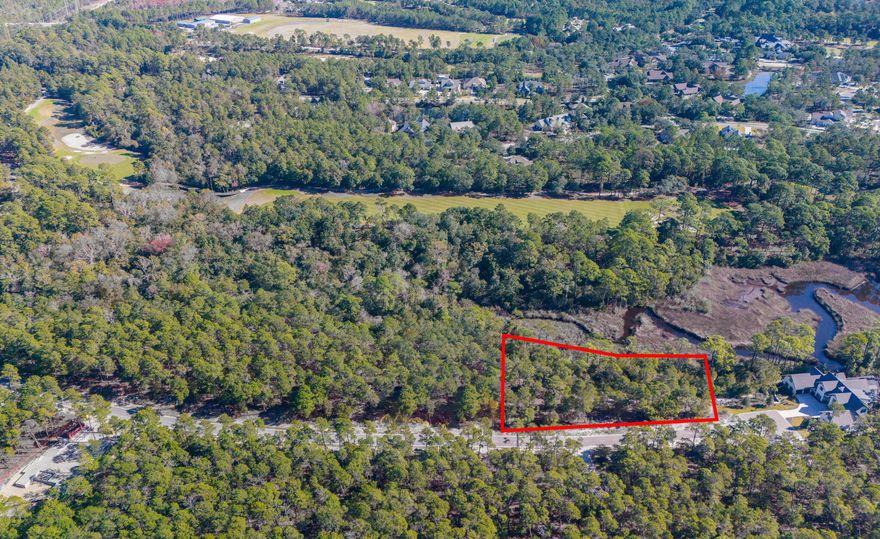 WATERVIEW LOT (.610 acres)! Commanding unobstructed views of Lake Powell - in the exclusive Wild Heron Golf Community. Wild Heron homes are rich in Craftsman styled architecture, perfectly complimenting the nearly 1,000 acres of incredible native Florida scrub, lakefront, wetlands, walking trails, and pristine golf course which define the community. The amenities are world class and include Shark's Tooth - the award winning Greg Norman designed Golf Course voted the 5th best course in all of Florida and 31st in the Nation by Golf Digest. Camp Creek was the only other non-South Florida course to make the list - it ranked 30th in Florida (and you have access to it too...)

Magnificent views of Lake Powell abound. Lakefront strolls along the boardwalks of Prospect Point, and the many trails are shaded and private. There is a fitness center, lakeside grills, outdoor pavilion with fireplaces and fire pits, natural material children's playground, tennis courts, and boathouse stocked with kayaks and canoes for owners, and the world class Club House. Lake Powell is by far the largest lake in the area, and 1 of the only 2 lakes in South Walton that allow power boats. You can literally paddle (or motor) from Wild Heron and park your boat on the beach at the gulf. 

***Buyer is responsible for personally verifying details about this property. Any information contained in this listing is believed to be accurate but is not guaranteed.***
