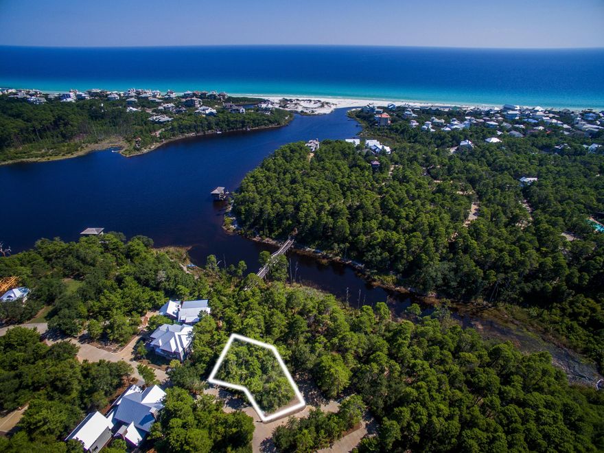 Draper Lake Coastal Village is a beautiful secluded neighborhood that was designed by Duany, Elizabeth Plater-Zyberk, and Dover Kohl. It offers great attention to the preservation of the Old Florida natural surroundings. This private, wooded homesite will afford beautiful Draper Lake views and is adjacent to the footpath leading to the pedestrian bridge. It is conveniently accessible to community parks, 2 pools, nature trails, 2 boathouses and the beach. A full set of preliminary architectural plans were designed by the renowned Tom Christ and will convey at time of closing. Centrally located in Blue Mountain Beach where the best dining, unique boutique shopping, bike paths are all close by. Easy access to Hwy 98, allowing you to explore the nearby cities of Destin or Panama City Beach, as well as the Northwest Florida Beaches International Airport. 