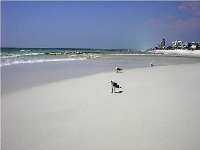 Eastern Lake Estates - Residential