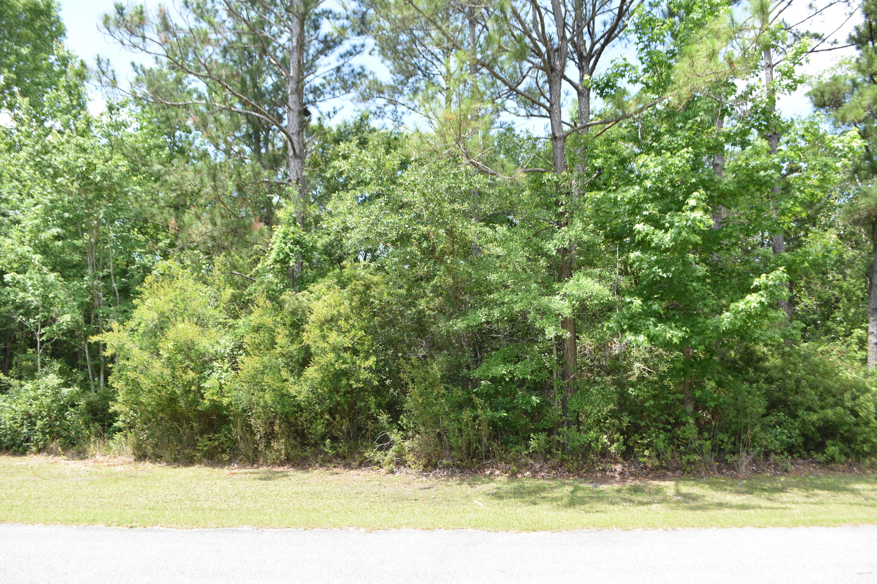 This amazing 1.28 acre lot is ready for you to build your dream home on. Bay Harbour is a Bayfront Community located in Freeport off of Bay Loop. Custom homes built throughout the neighborhood. Low HOA fees and No build out time. Come take a look at Bay Harbour, the grounds are exquisitely manicured and well maintained. Ponds and Palms located throughout the neighborhood give it a peaceful coastal feel. All information deemed accurate. Buyer should verify matters of importance.