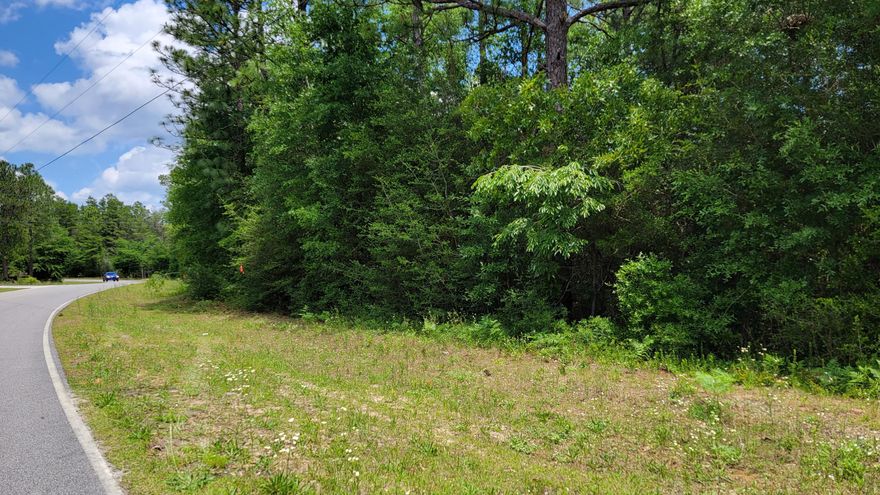 TWO WOODED LOTS, two different parcel numbers, totaling .60 acres, no restrictions against manufactured homes!  Call today to schedule a time to walk the property!  Existing Survey is available!