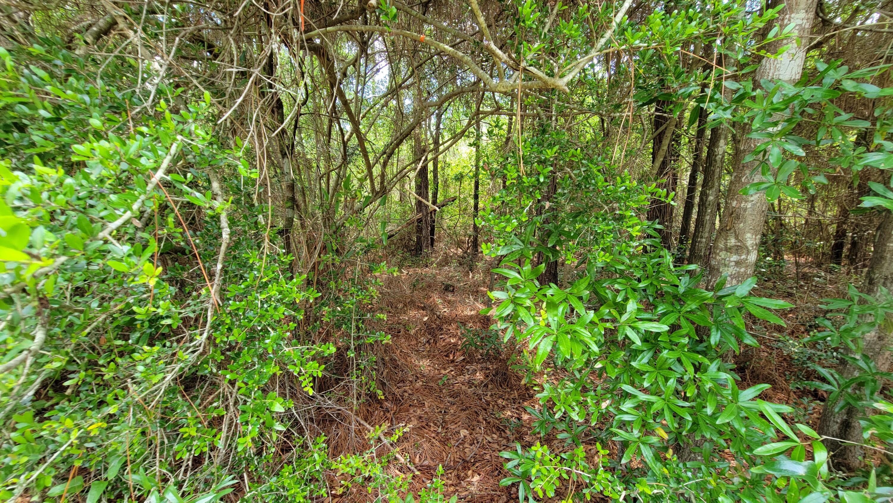 OAKWOOD HILLS UNIT 1 - Land