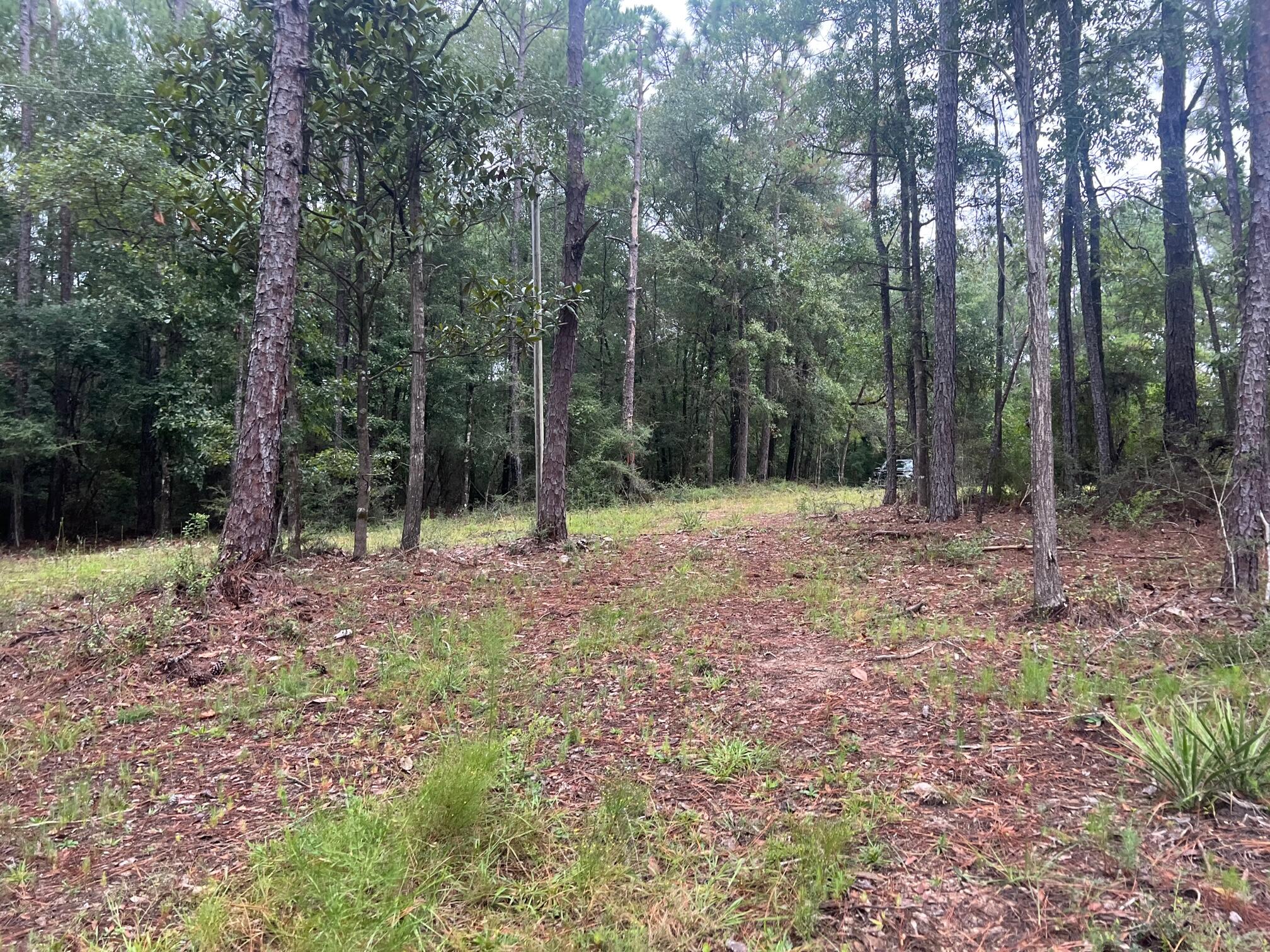 METES & BOUNDS - Land