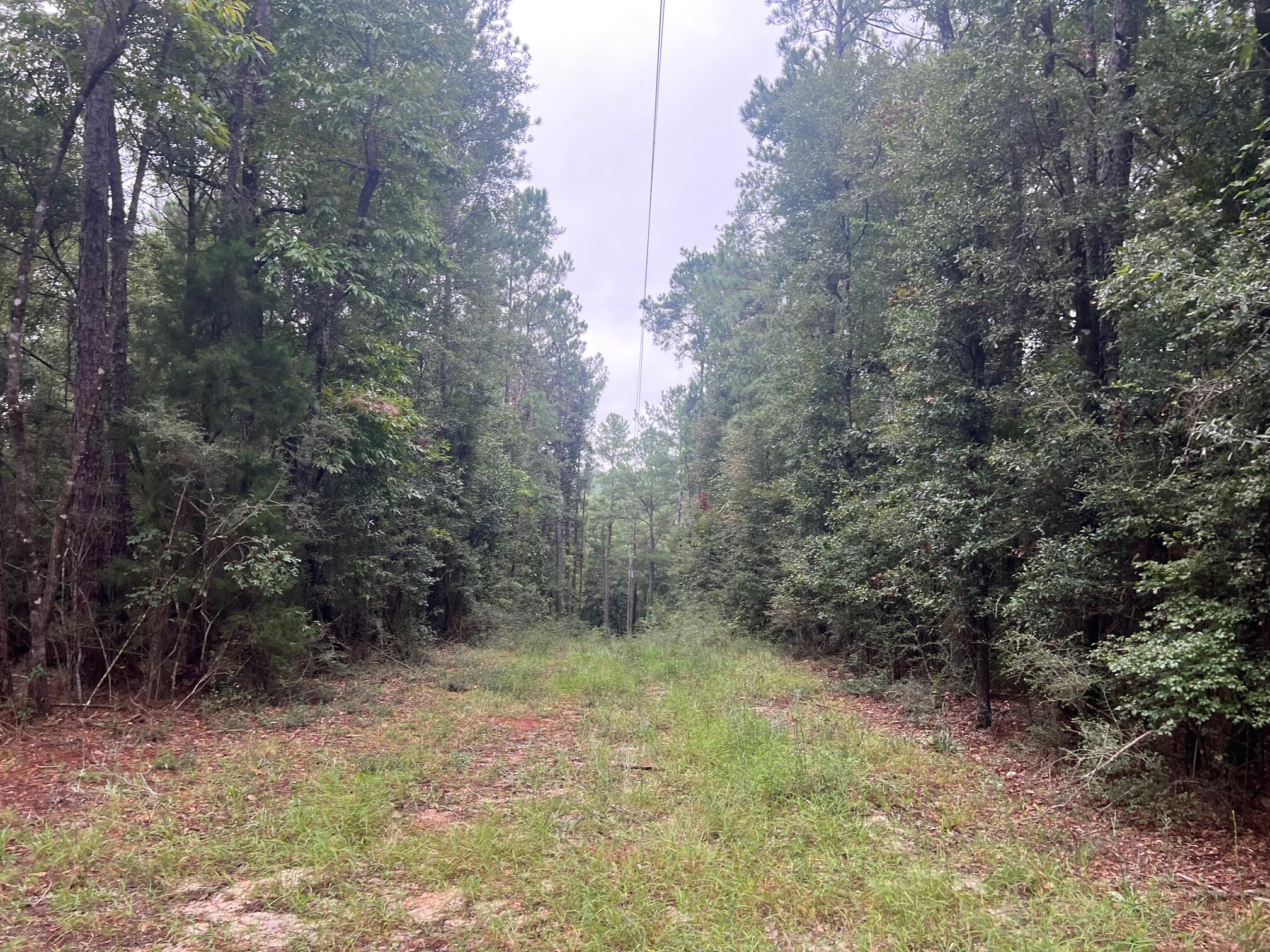 METES & BOUNDS - Land