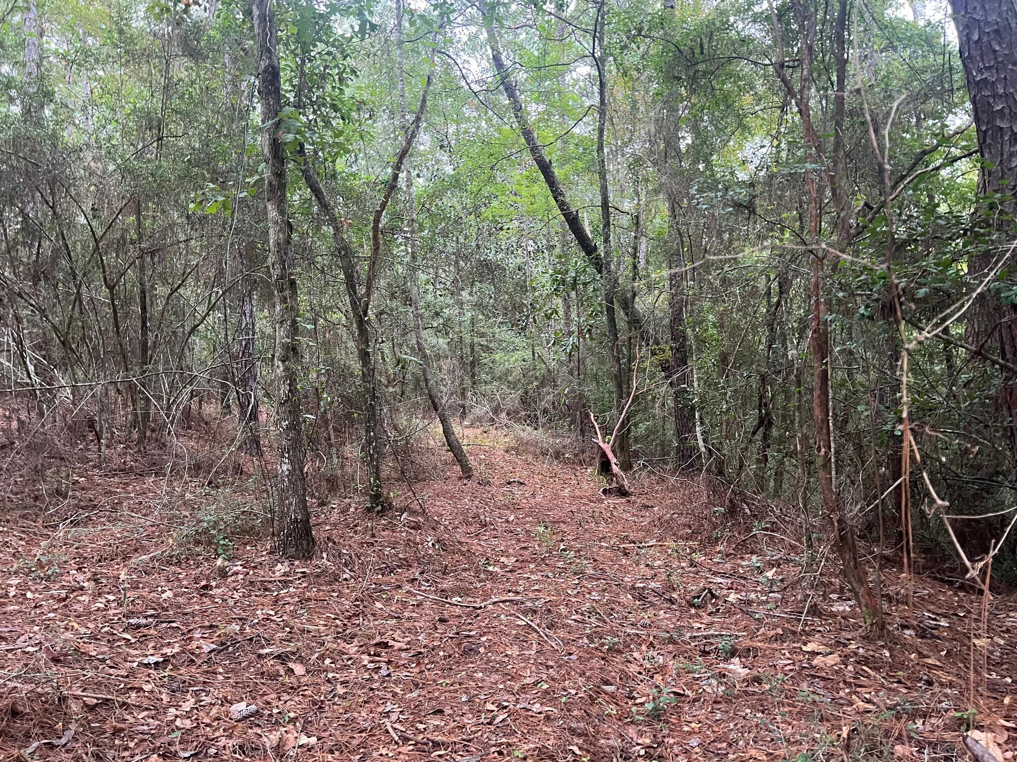 METES & BOUNDS - Land