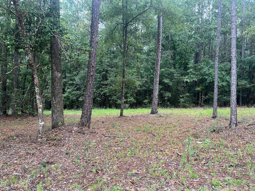 8.8 wooded acres on paved road in growing Mossy Head area.  Only minutes to I-10 & Hwy 285 in Mossy Head for quick commute to Defuniak Springs, Crestview, Niceville & Eglin AFB. Power runs along Crowder Chapel Rd; Public water is available through Mossy Head Water Works (tap fee would need to be paid). Septic tank would be required. Property has paved frontage on Crowder Chapel Rd & Hinote Rd, with ATV trails cut throughout. Due to the varying elevations, this property is more suitable for recreation than livestock or farm animals. Property owner has cleared a nice area set back from the road that would make a great homesite for your house or manufactured home. This parcel could also be split into 2 buildable parcels. Seller will consider owner finance with minimum of 25% down at 8%.