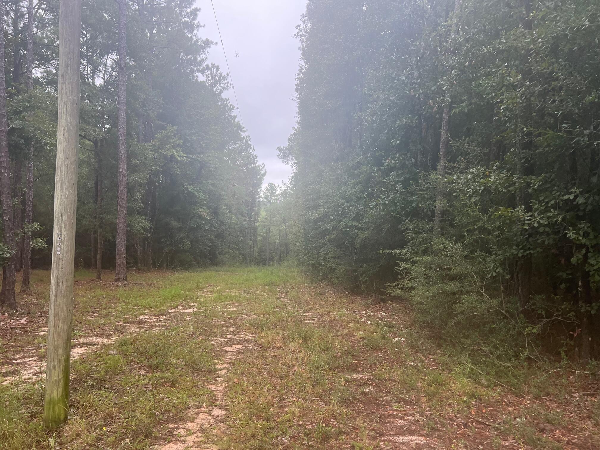 METES & BOUNDS - Land