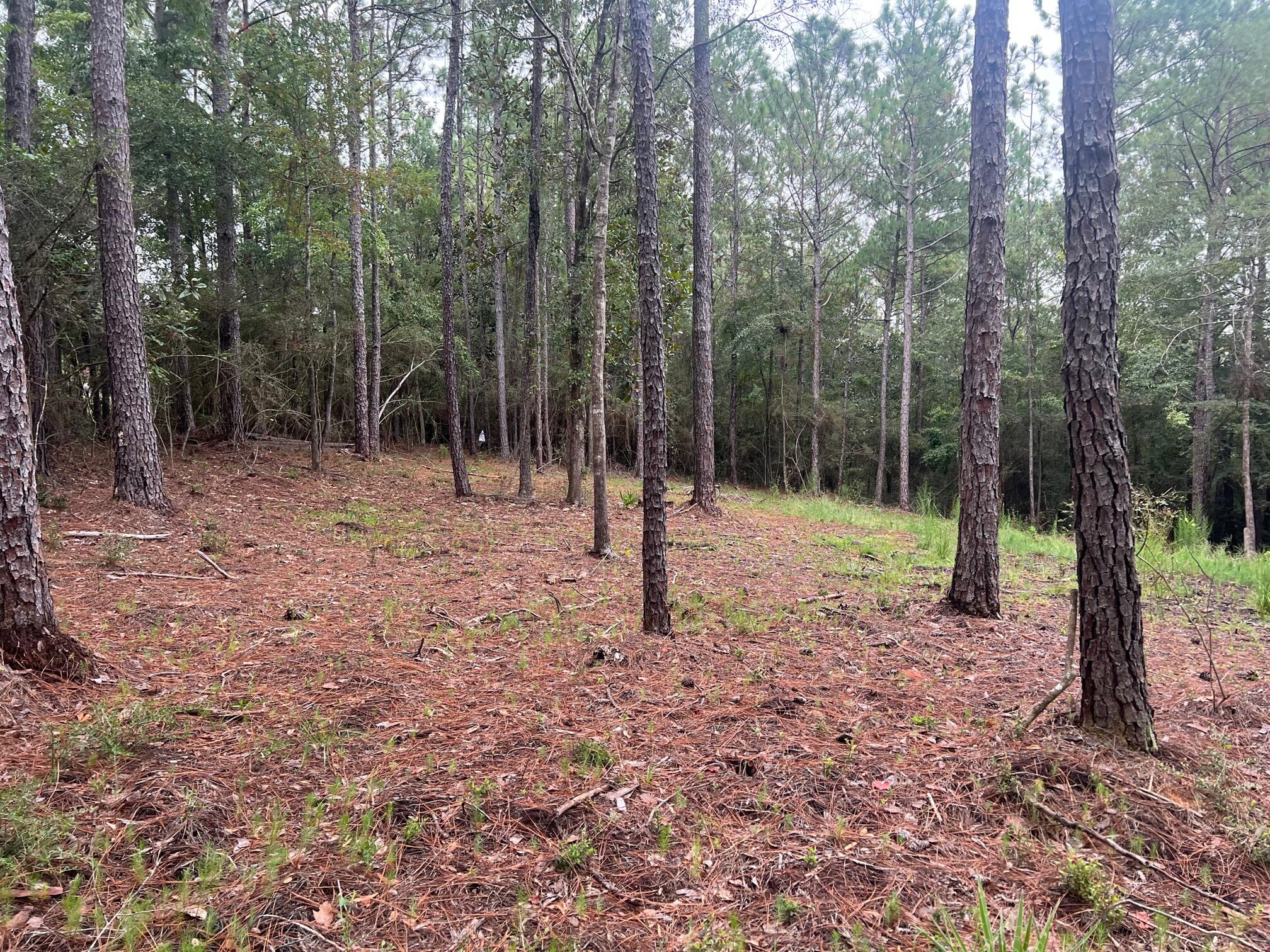 METES & BOUNDS - Land