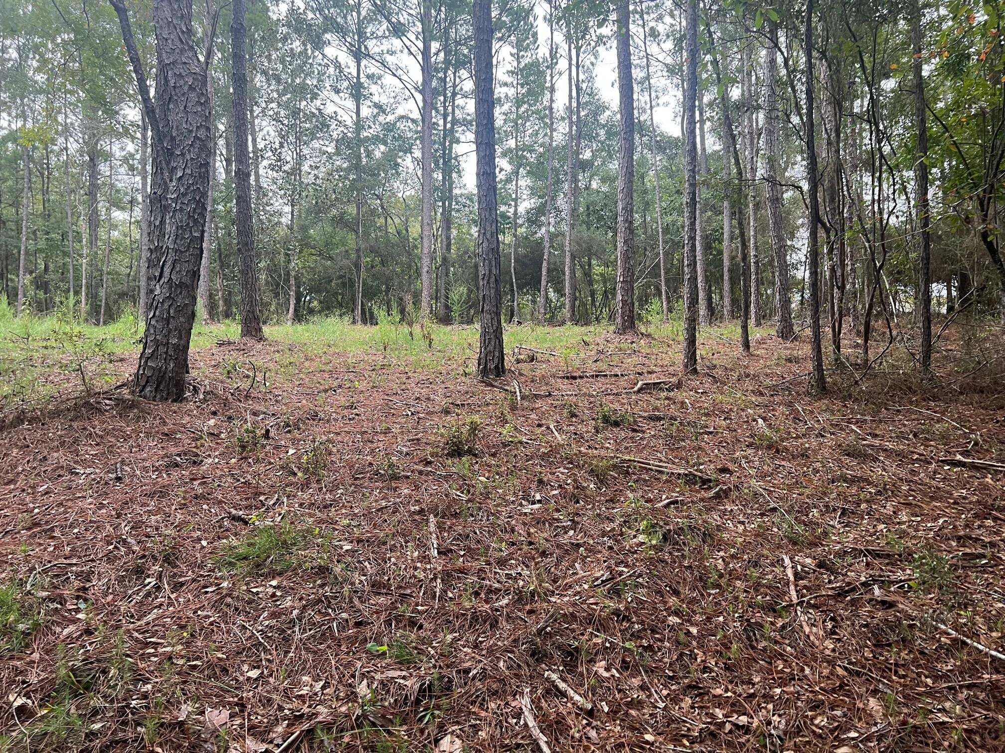 METES & BOUNDS - Land