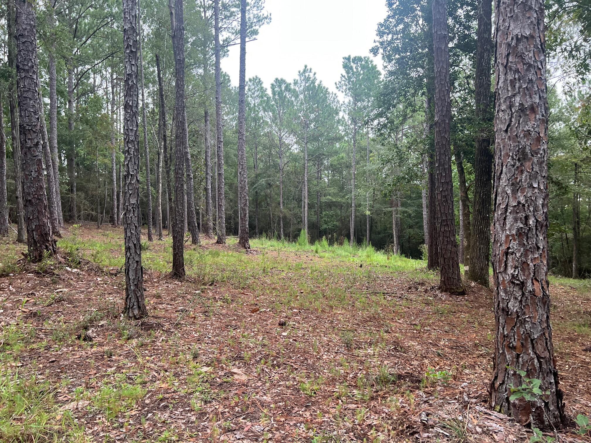 METES & BOUNDS - Land