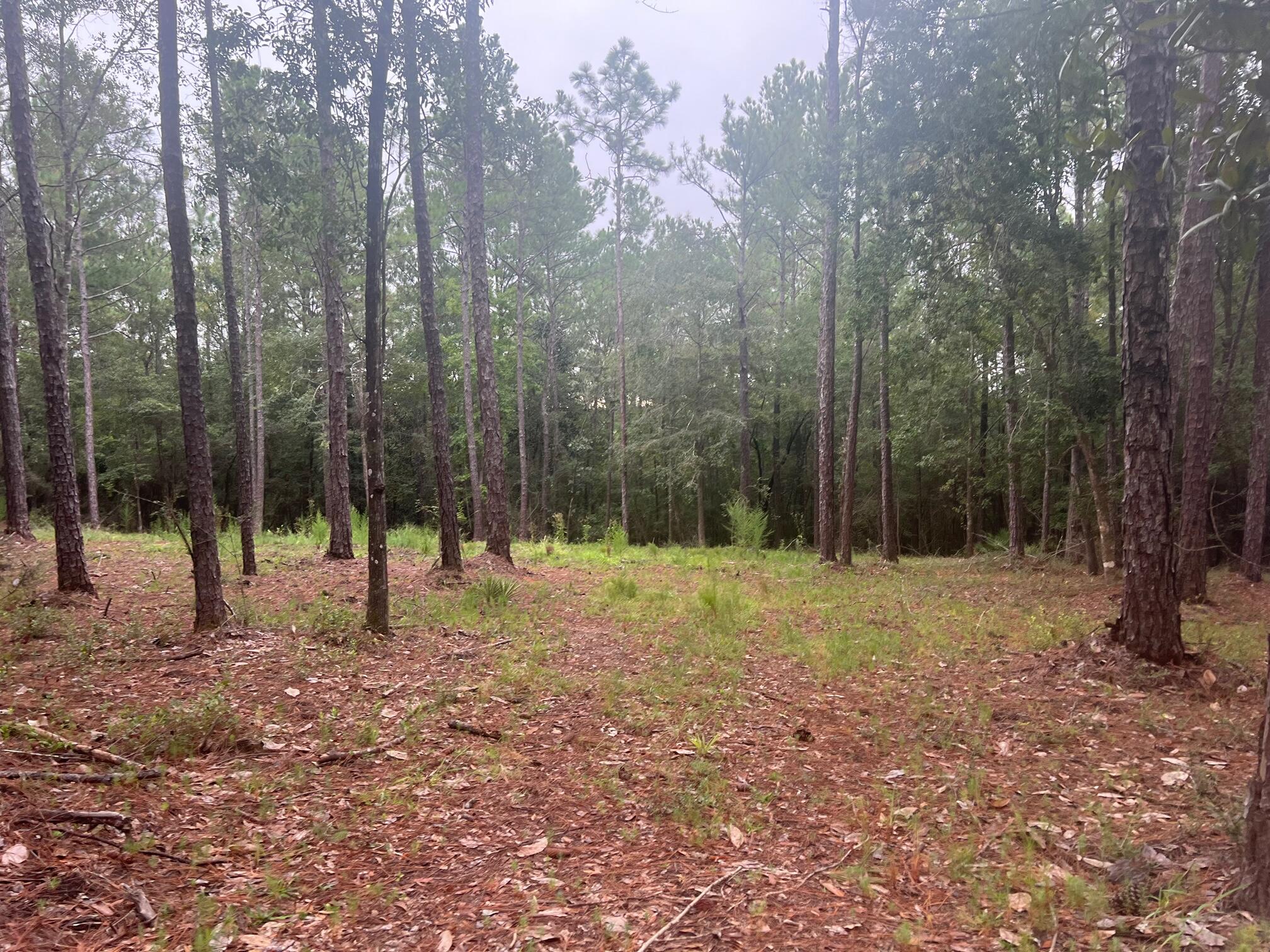 METES & BOUNDS - Land