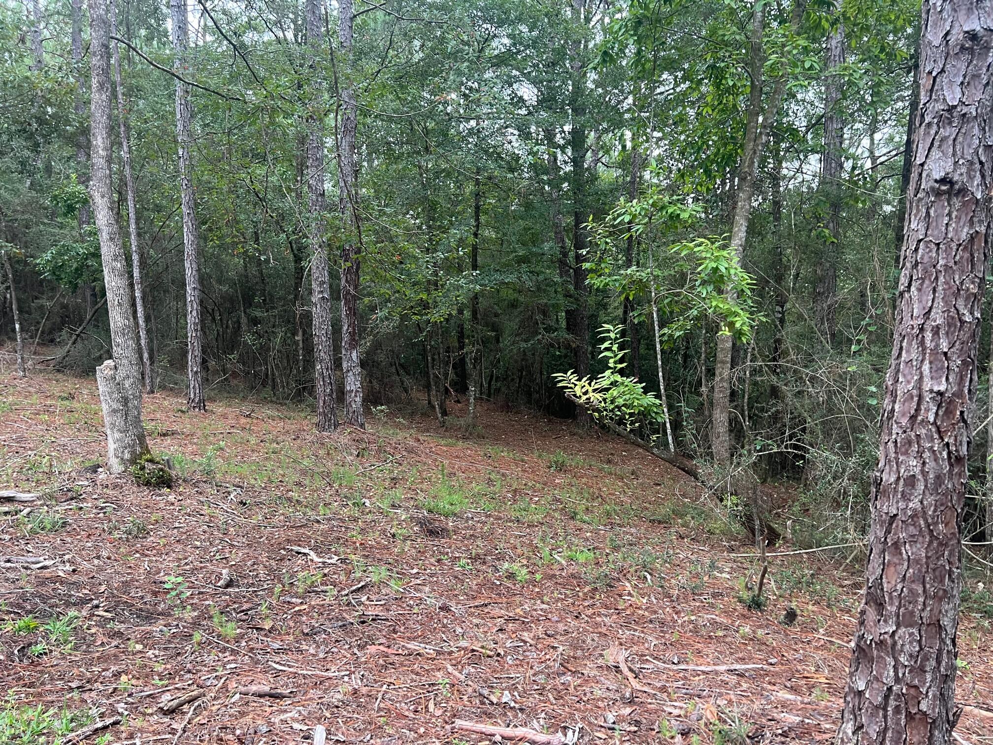 METES & BOUNDS - Land