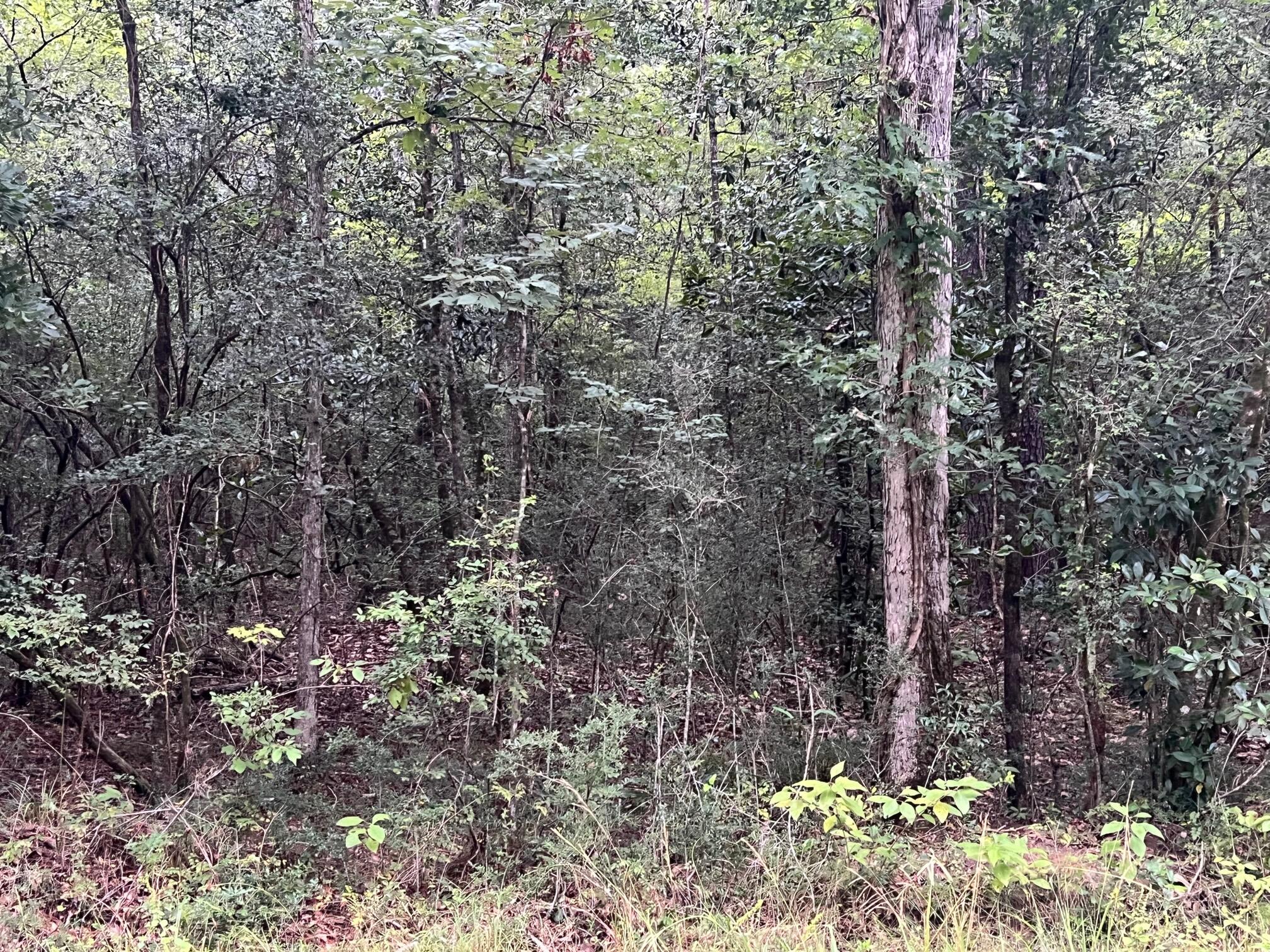 METES & BOUNDS - Land