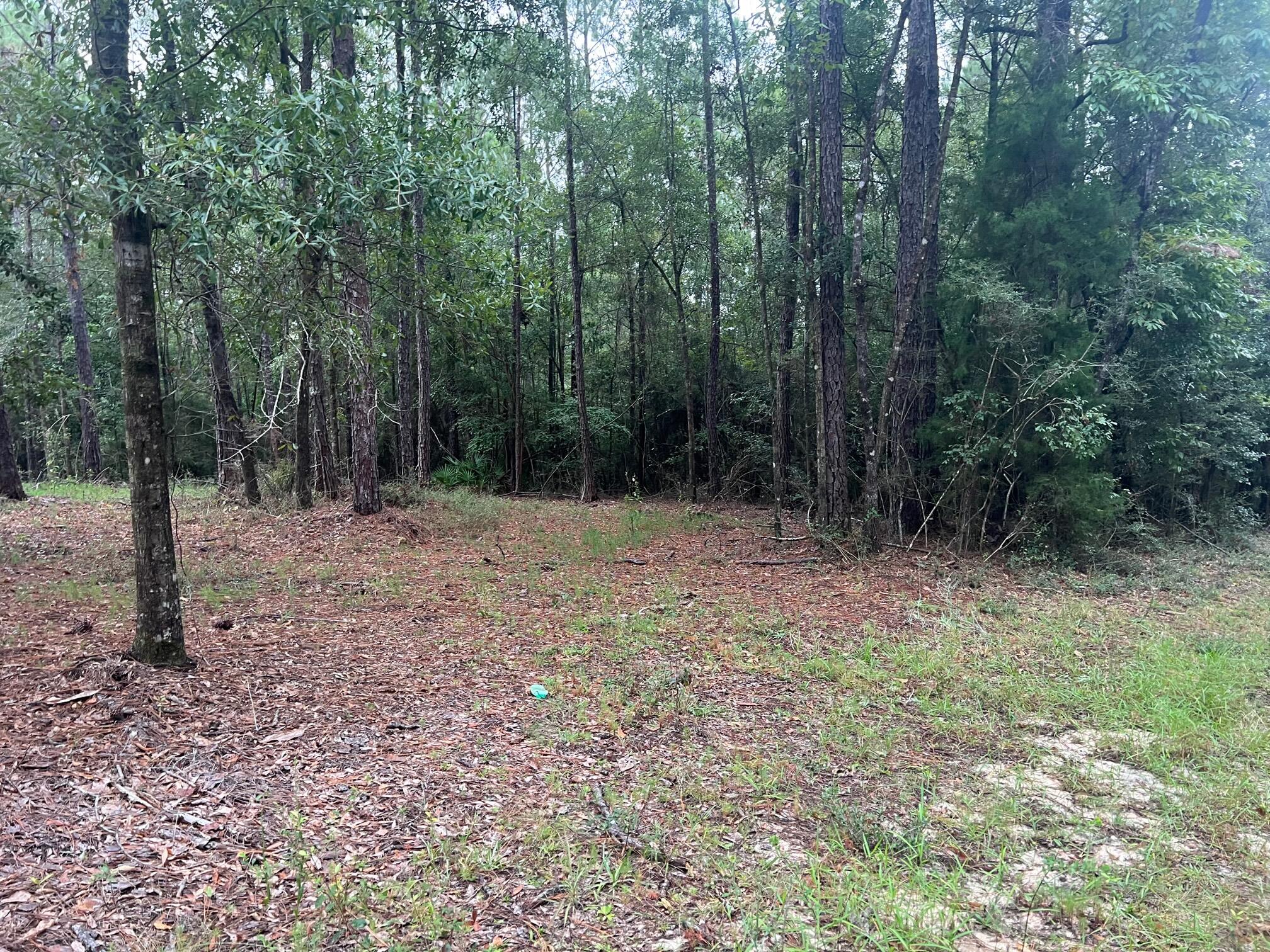 METES & BOUNDS - Land