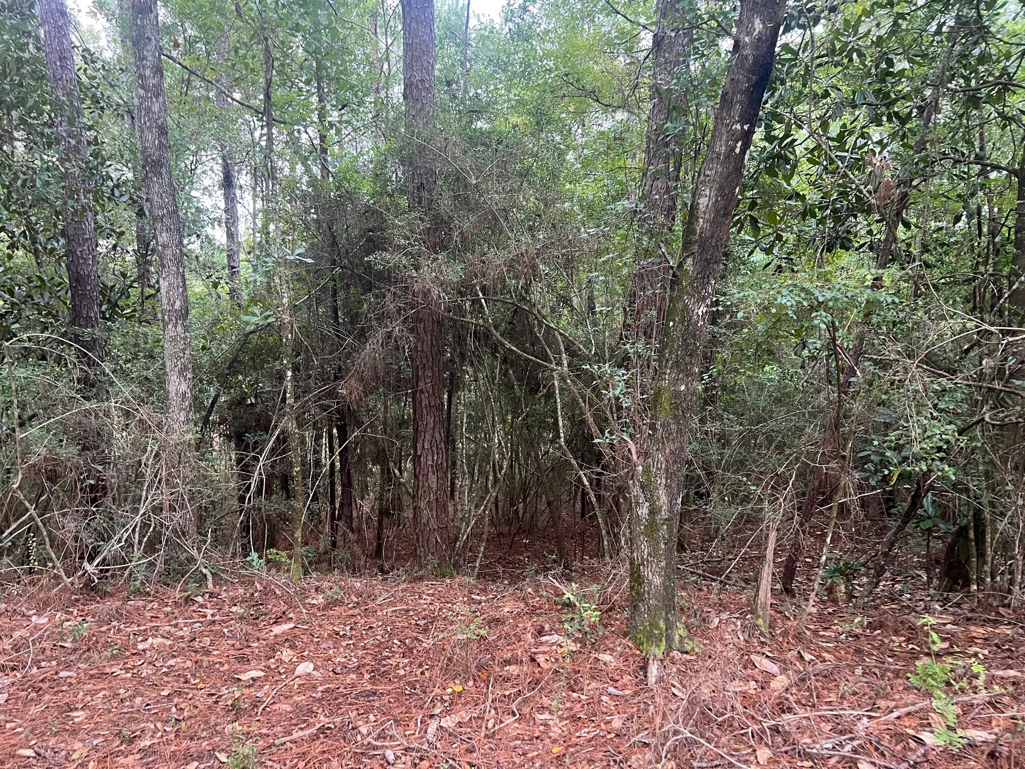 METES & BOUNDS - Land