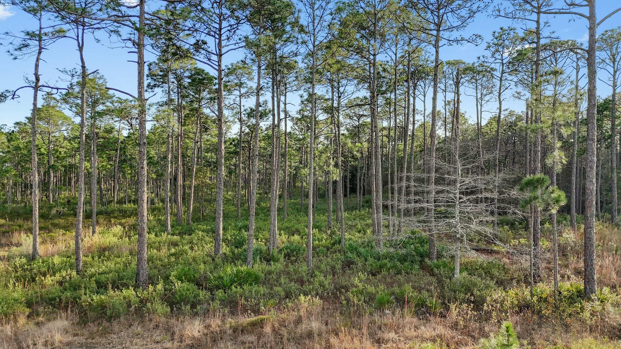 SANTA ROSA PLANTATION - Land